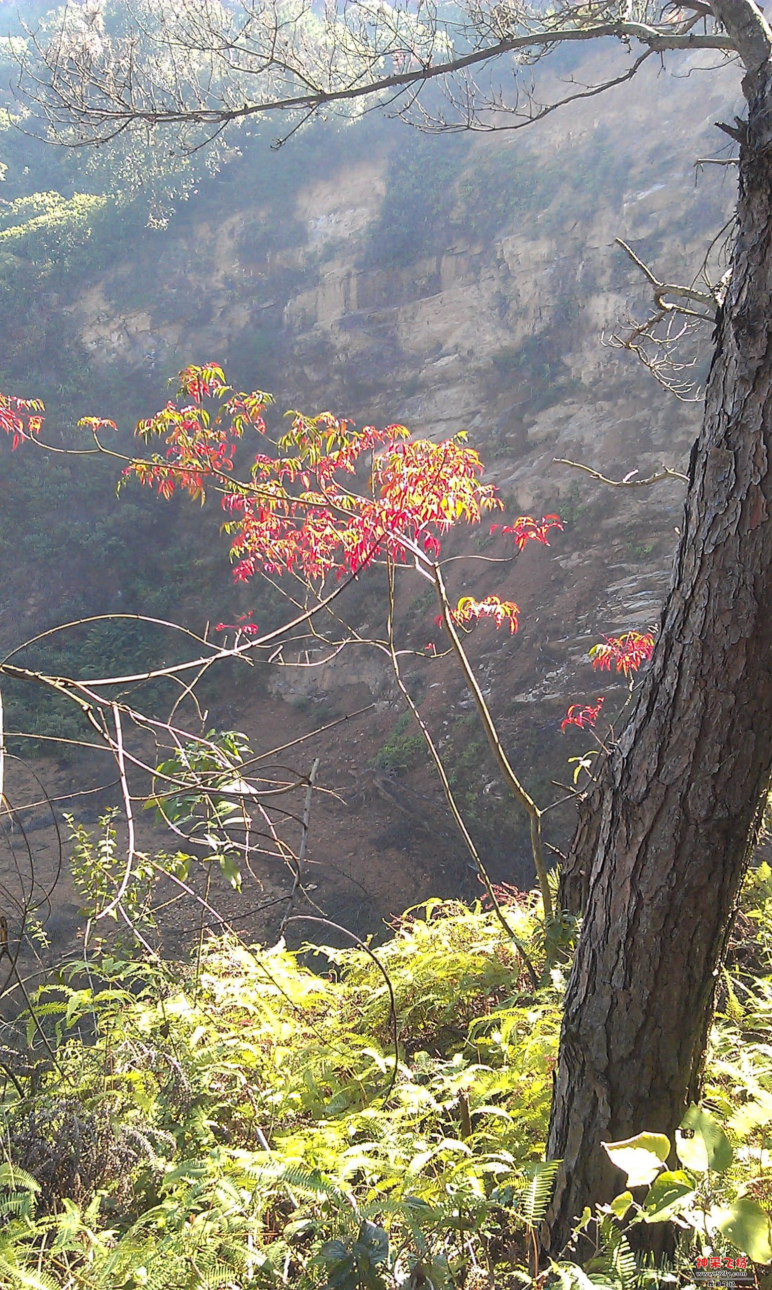 IMAG0042.jpg