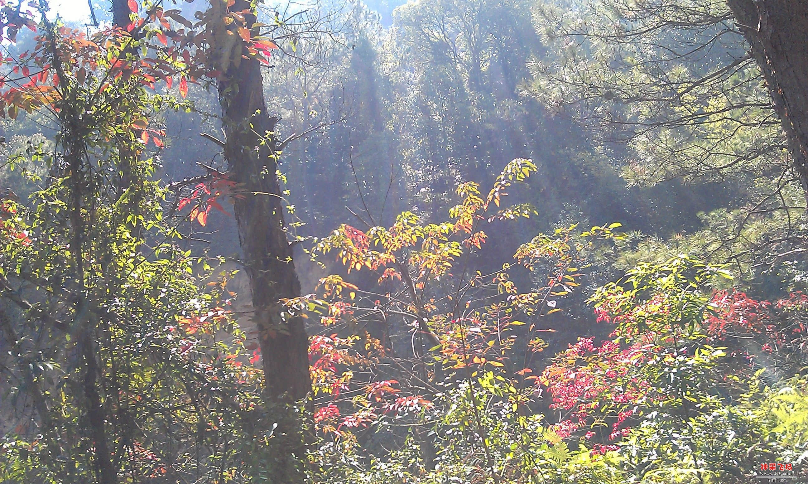 IMAG0043.jpg
