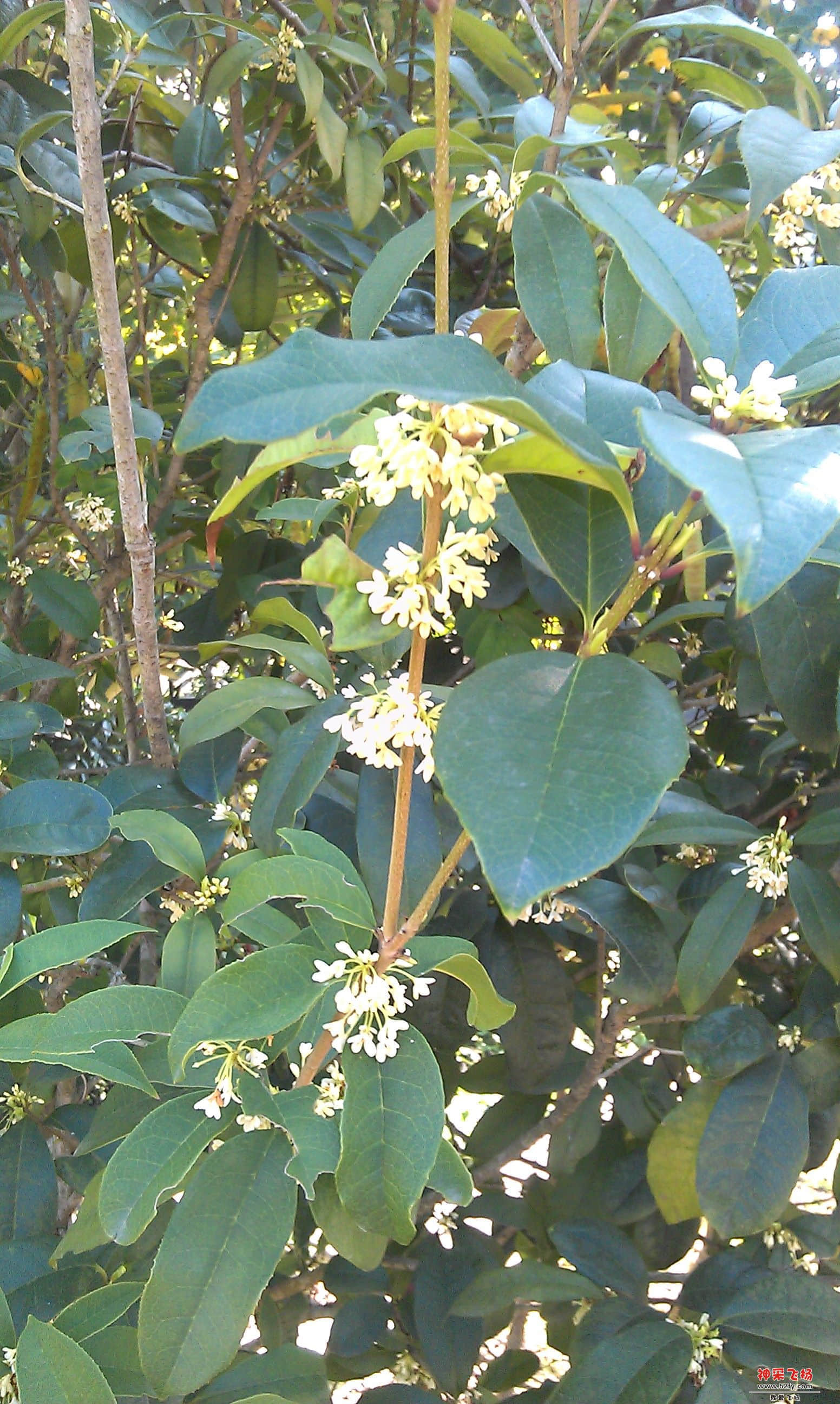 IMAG0046.jpg