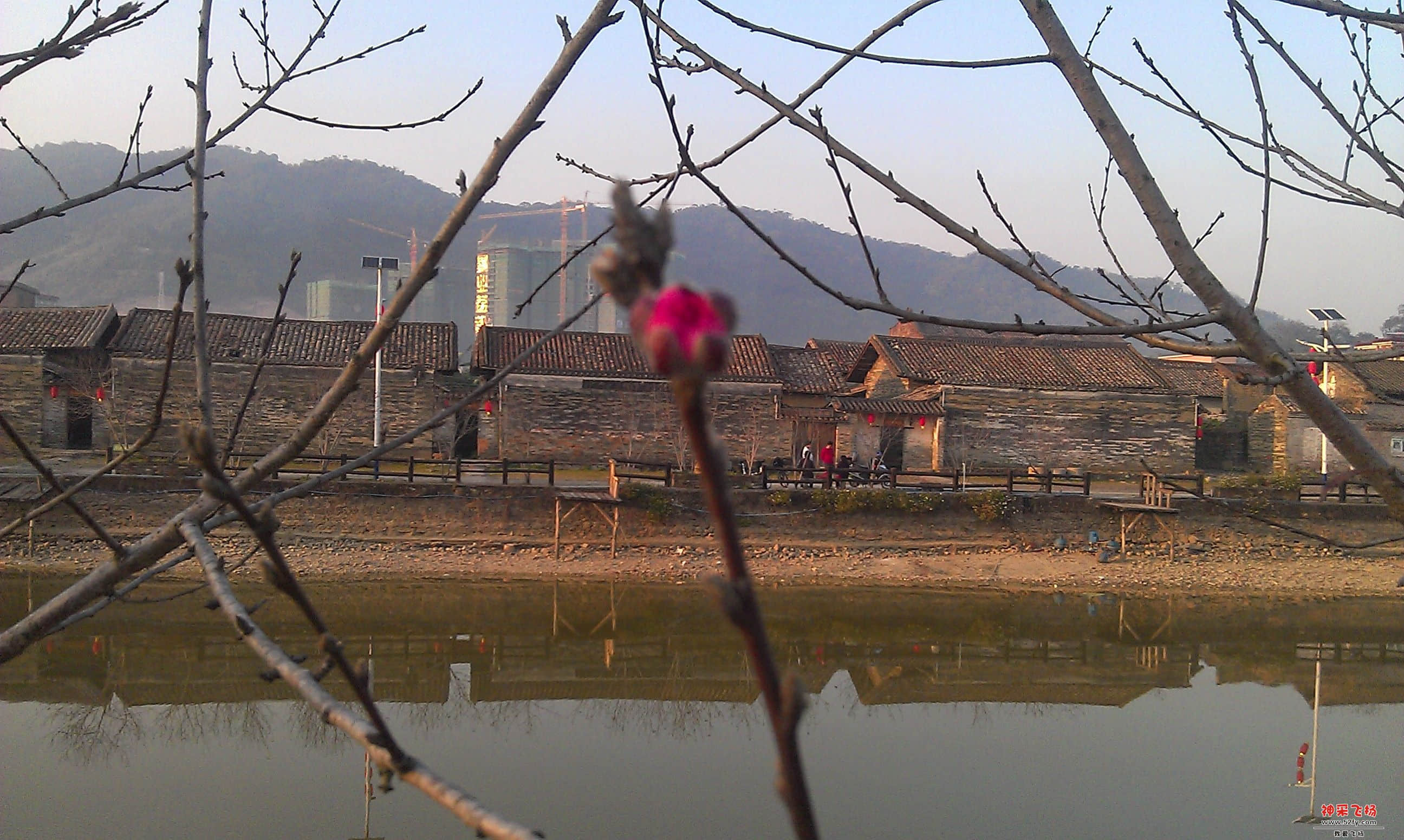 桃花4.jpg