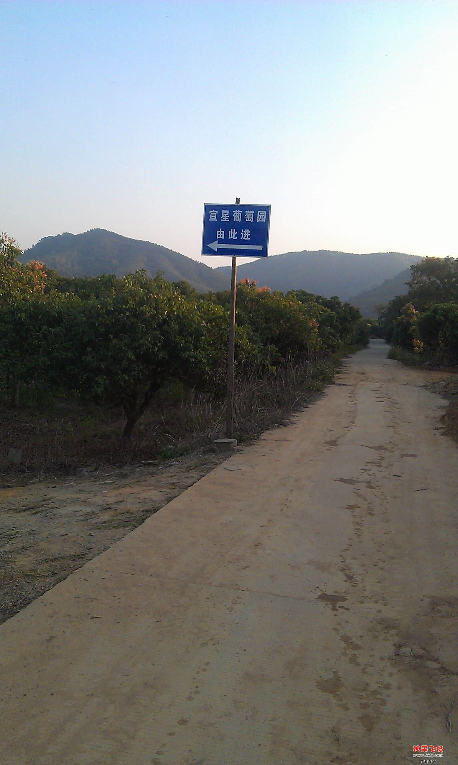 宣星村葡萄园.jpg