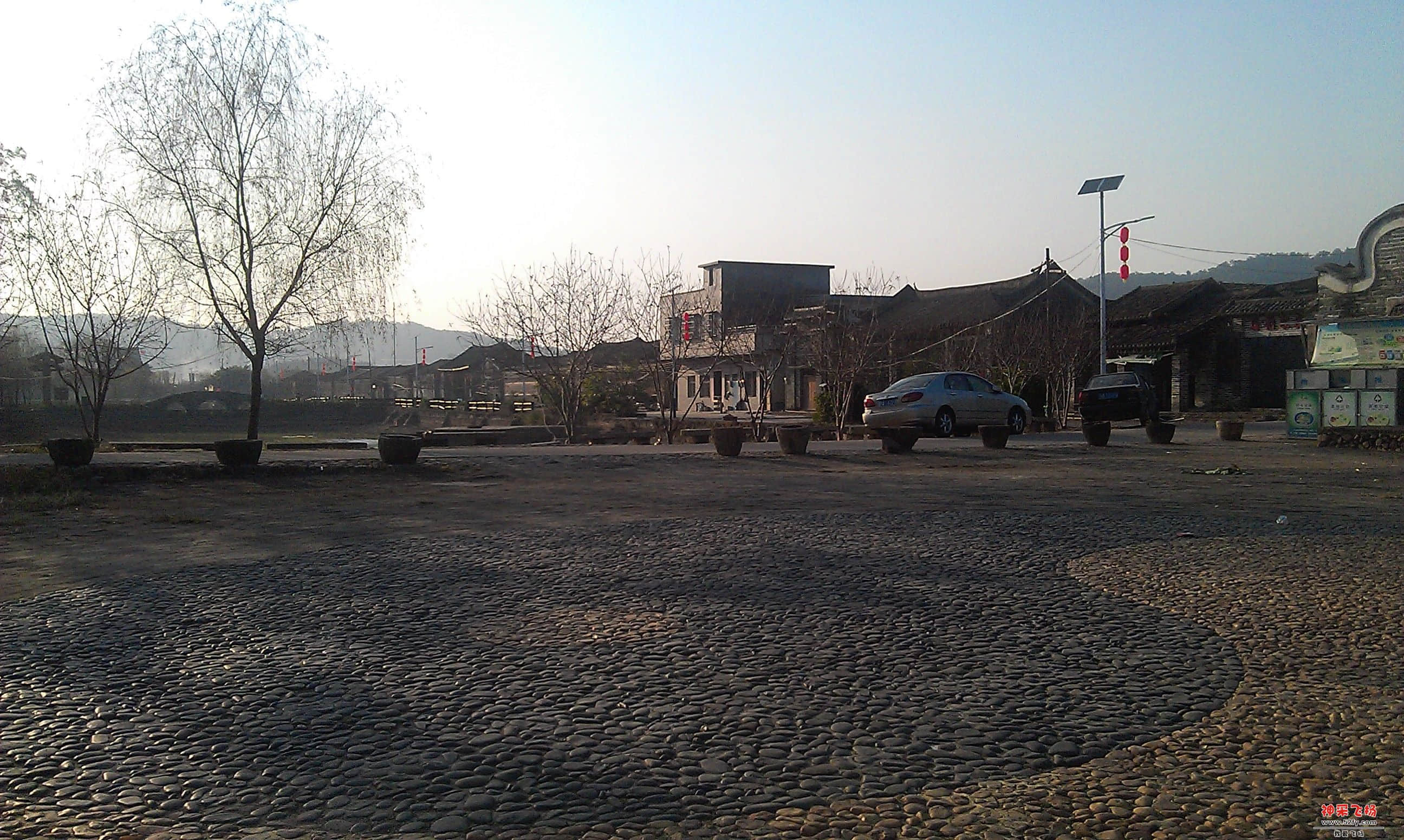 IMAG0005.jpg