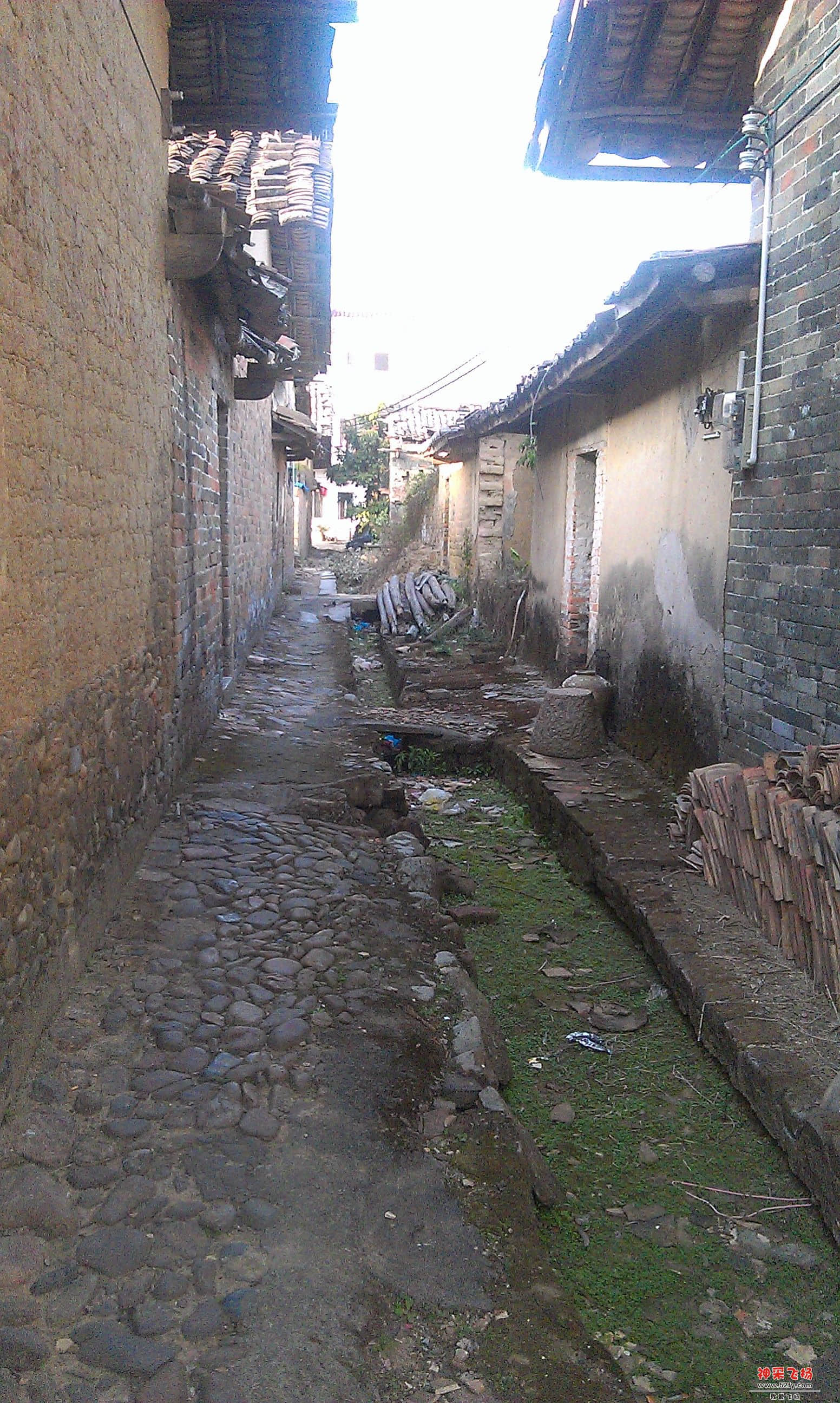 IMAG0019.jpg
