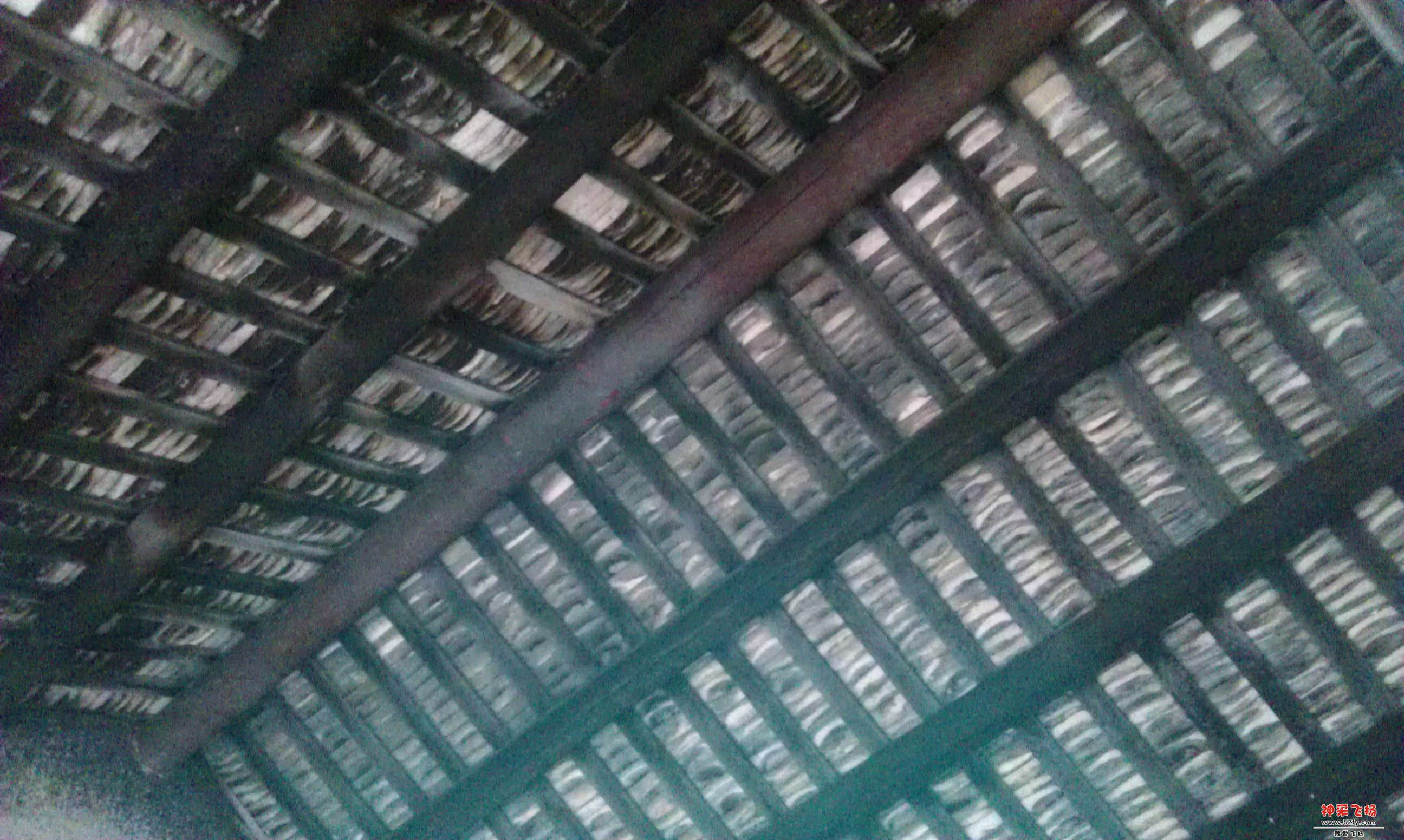 IMAG0031.jpg