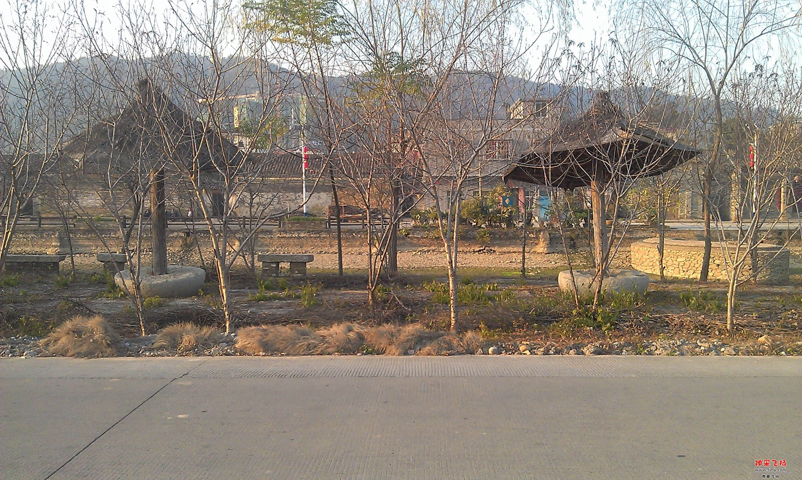 IMAG0052.jpg