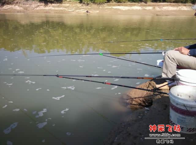 调整大小 IMG_20141231_134048.jpg