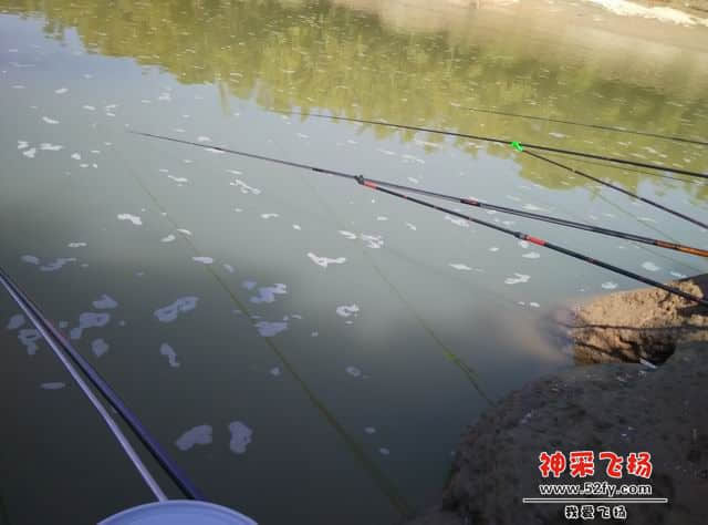 调整大小 IMG_20141231_134052.jpg