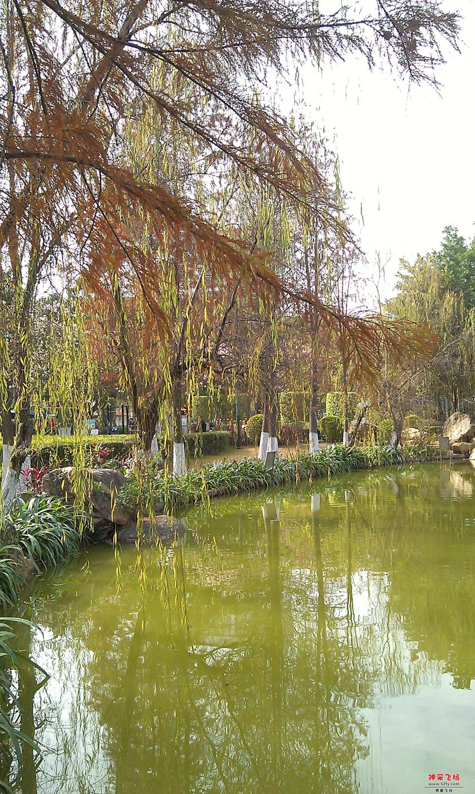 IMAG0005.jpg