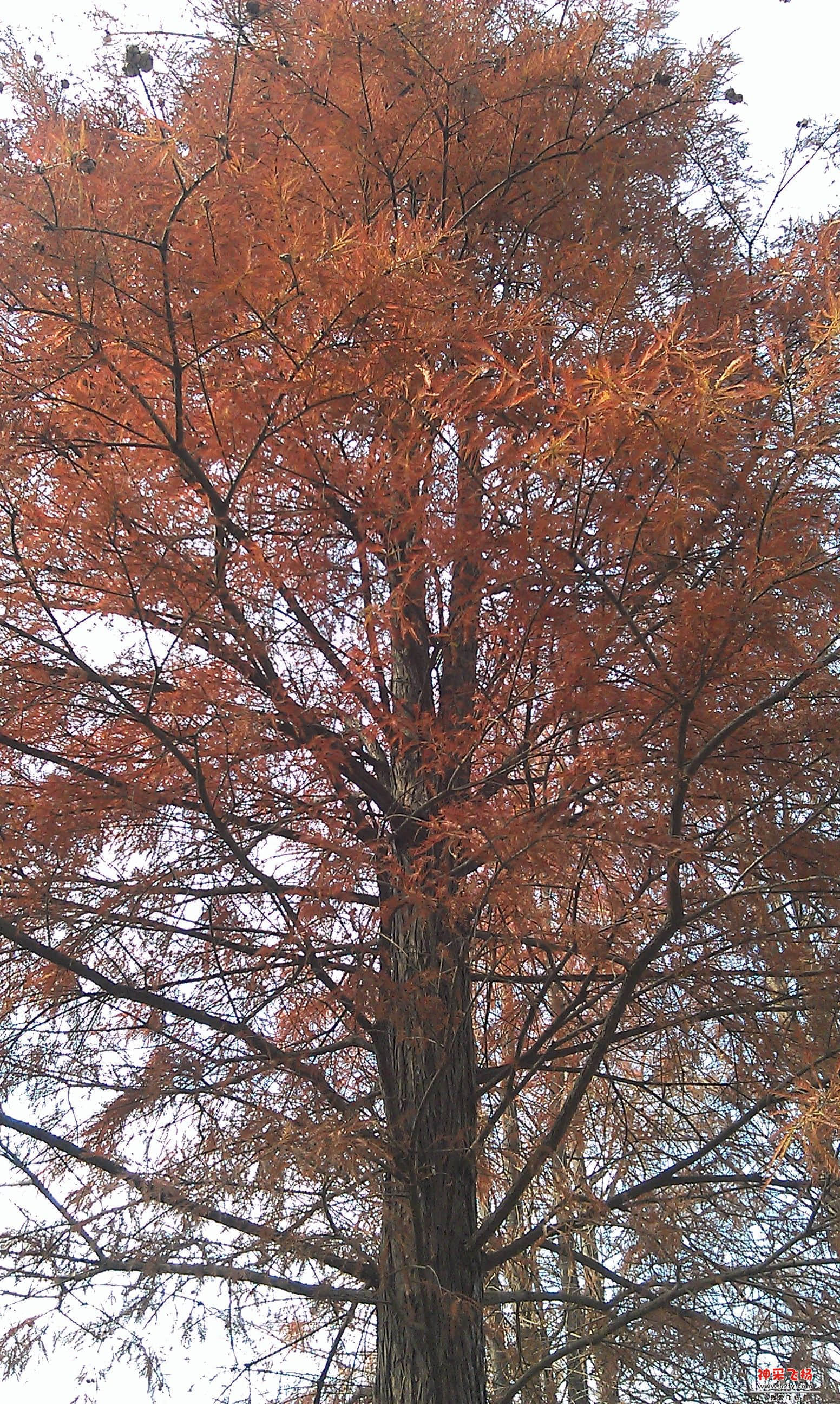IMAG0006.jpg