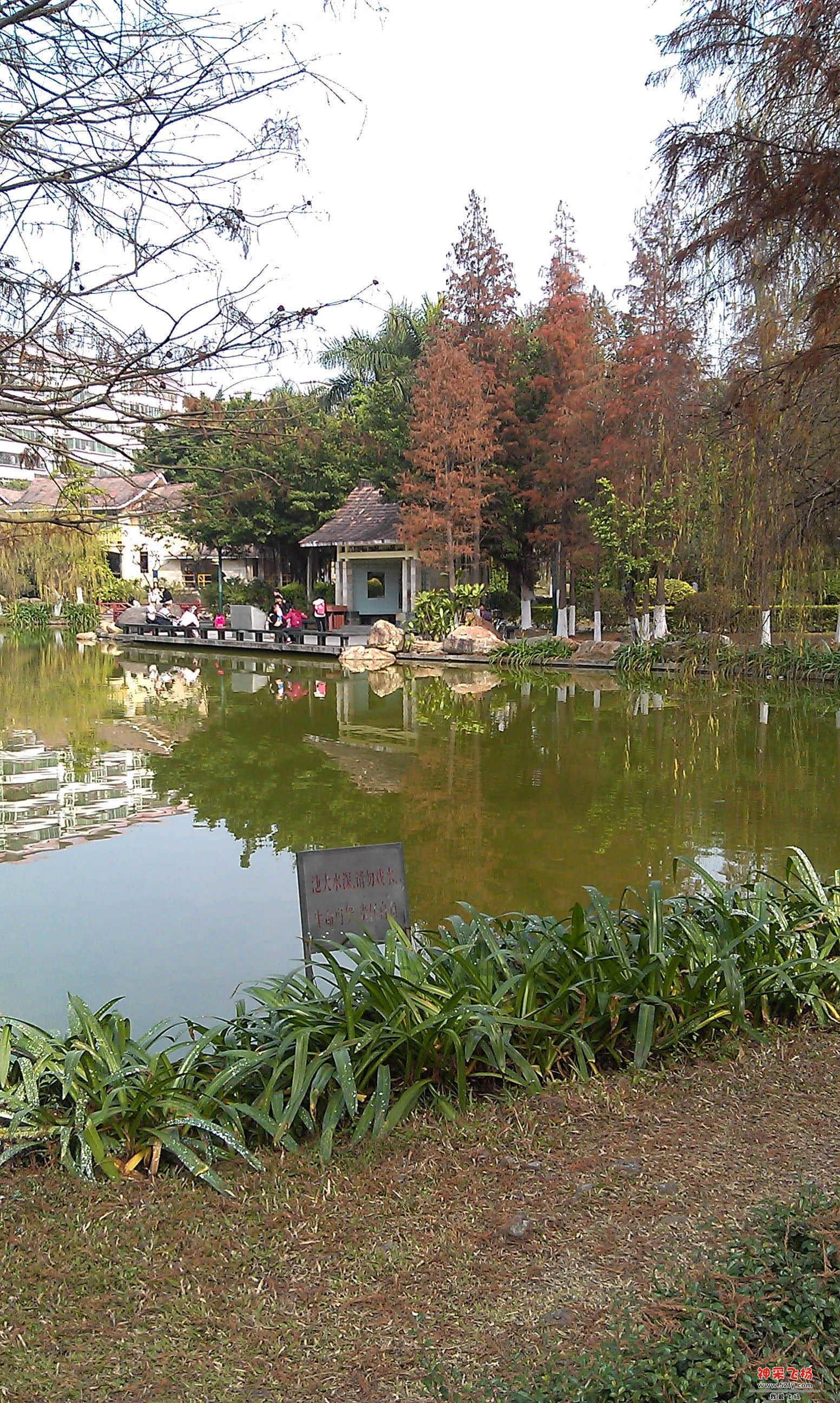 IMAG0007.jpg