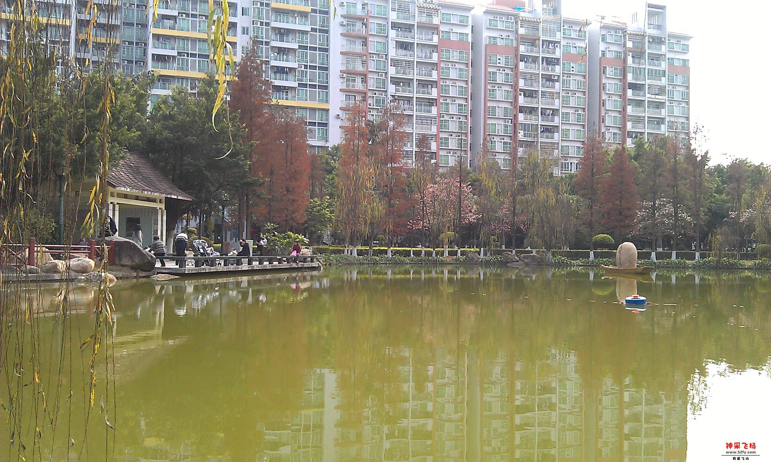 IMAG0008.jpg