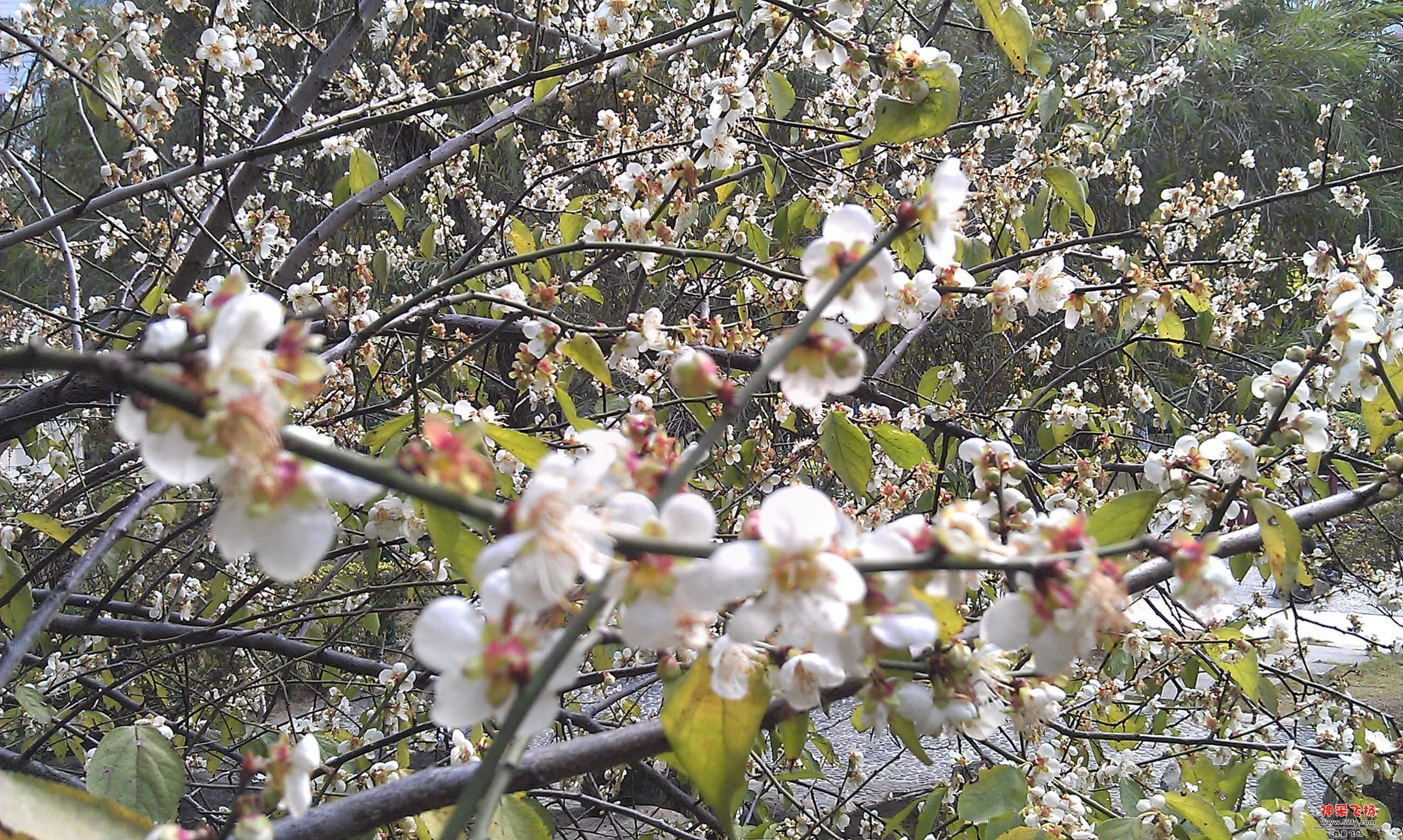 IMAG0011.jpg