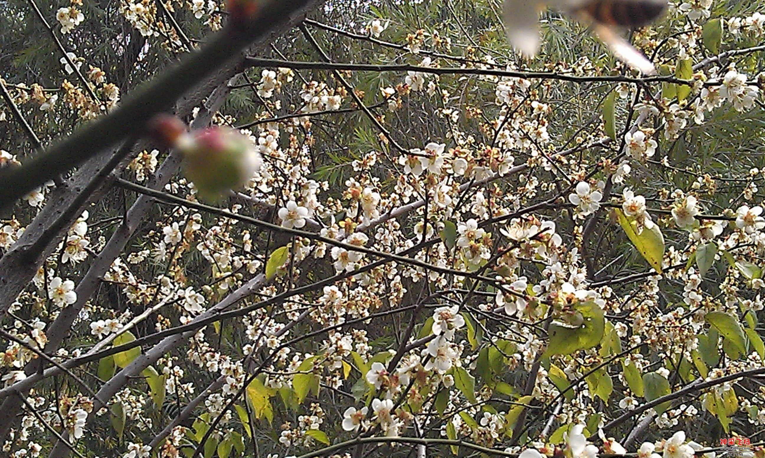 IMAG0012.jpg