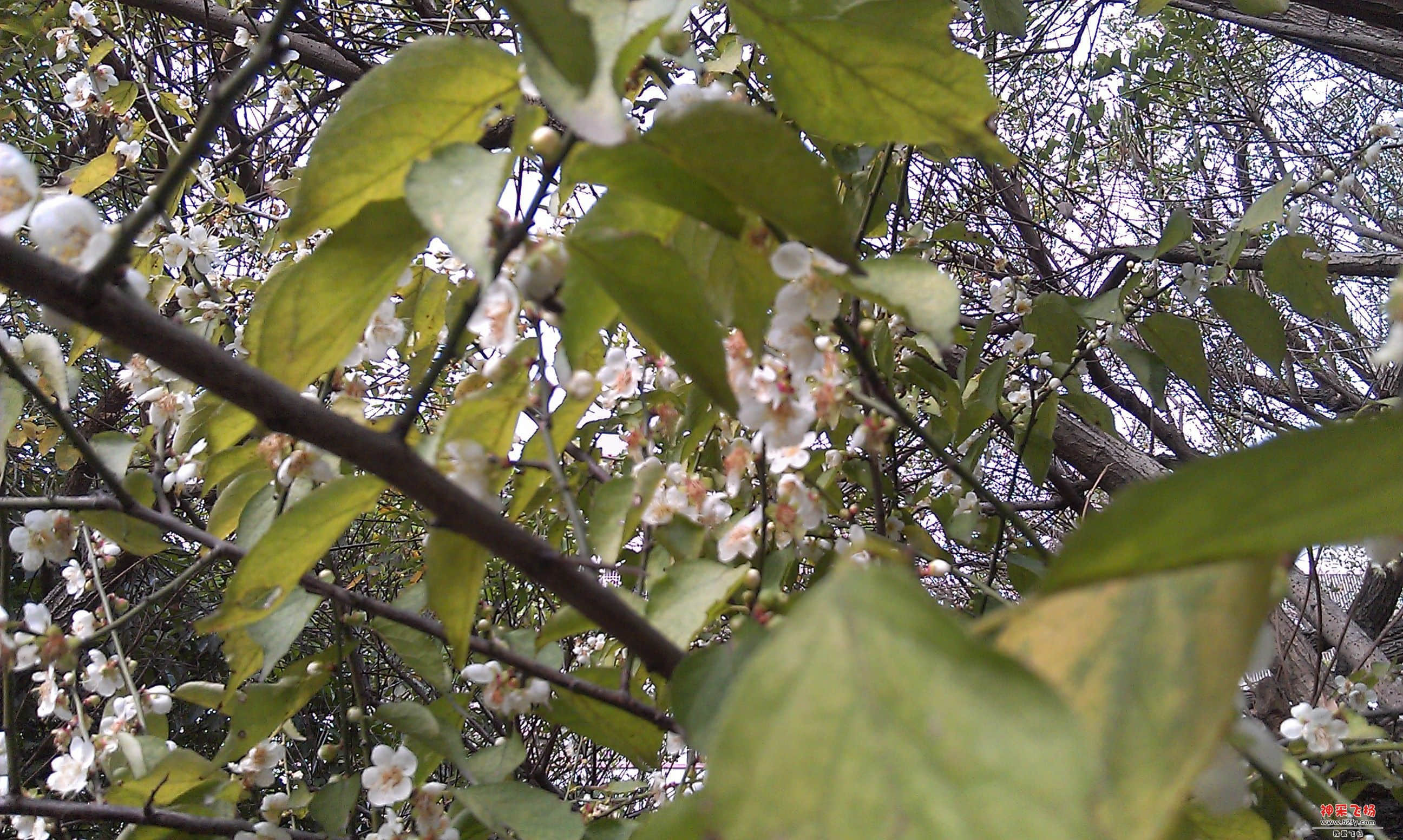 IMAG0016.jpg