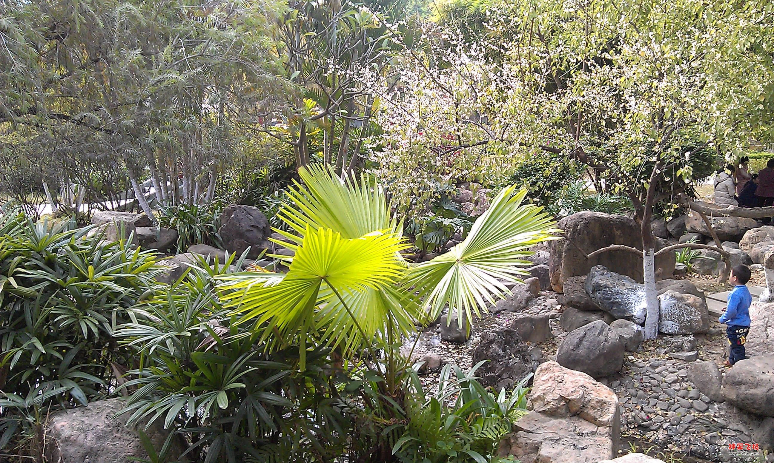 IMAG0018.jpg