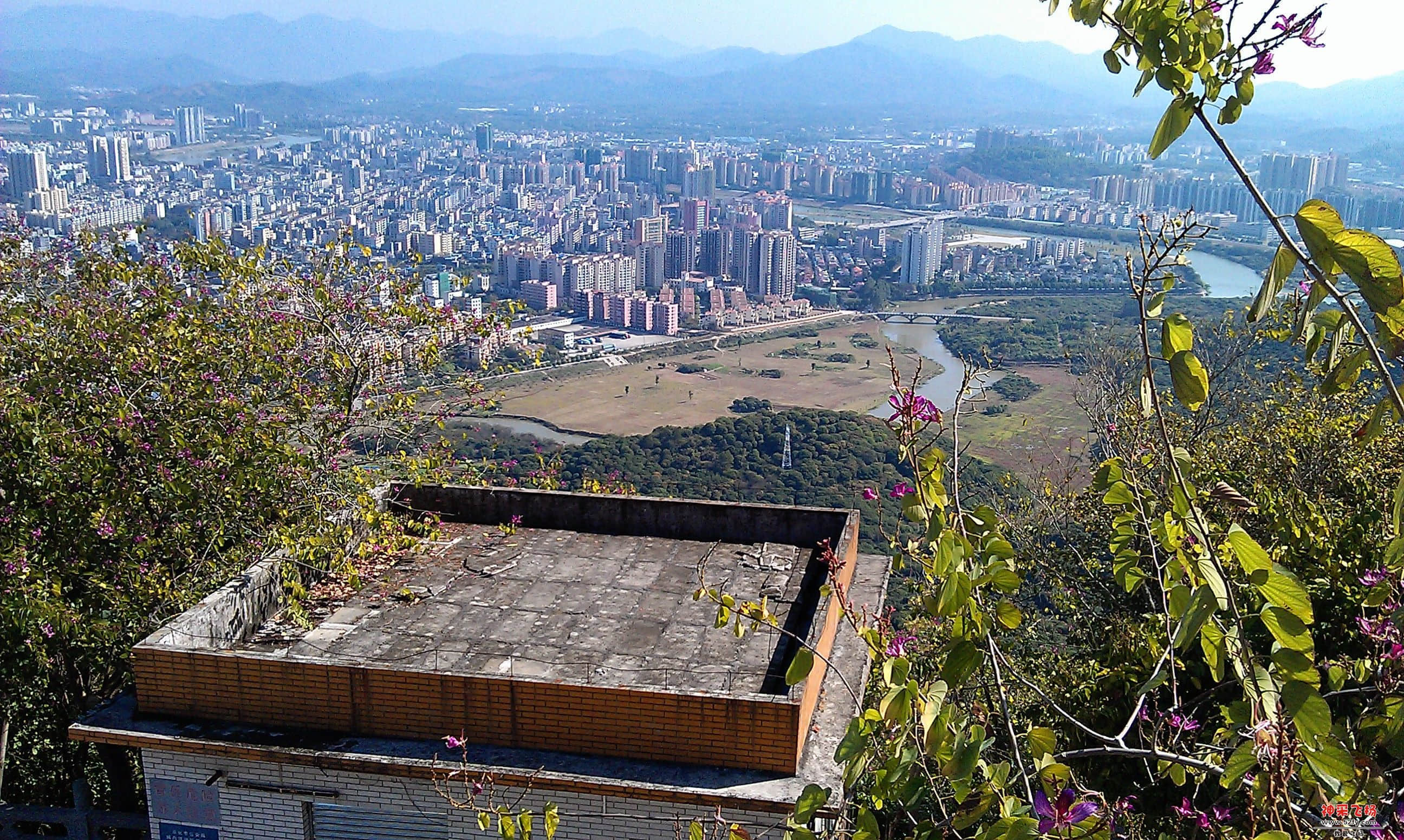 IMAG0059.jpg