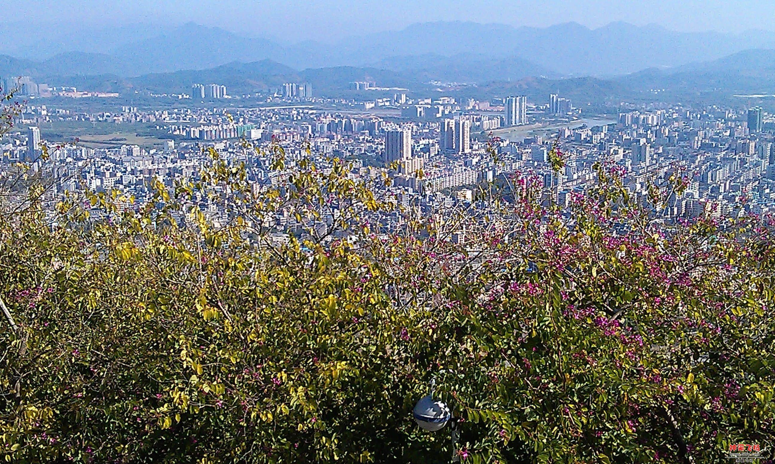 IMAG0061.jpg