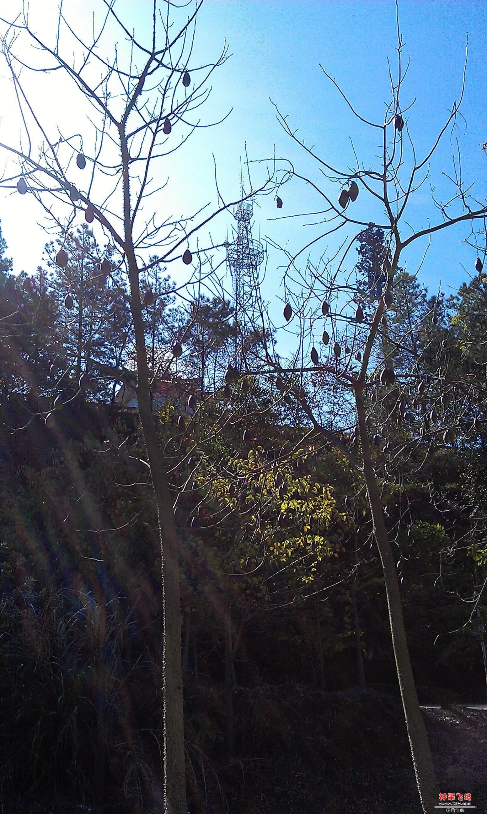 IMAG0072.jpg