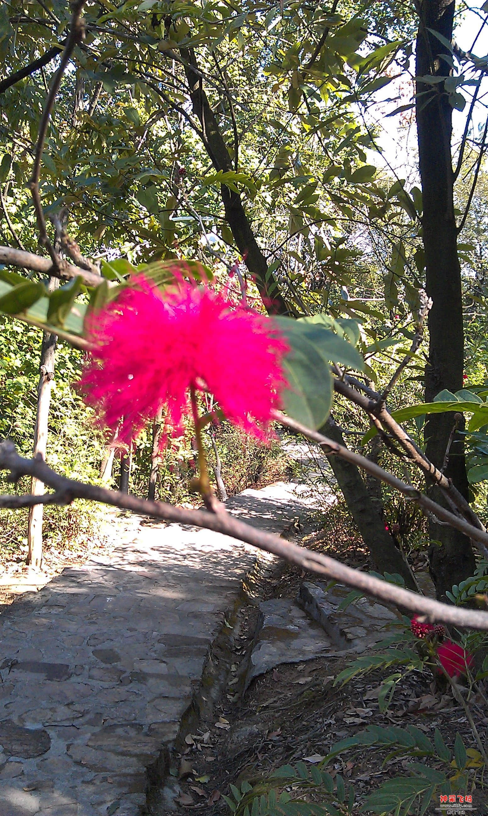IMAG0073.jpg