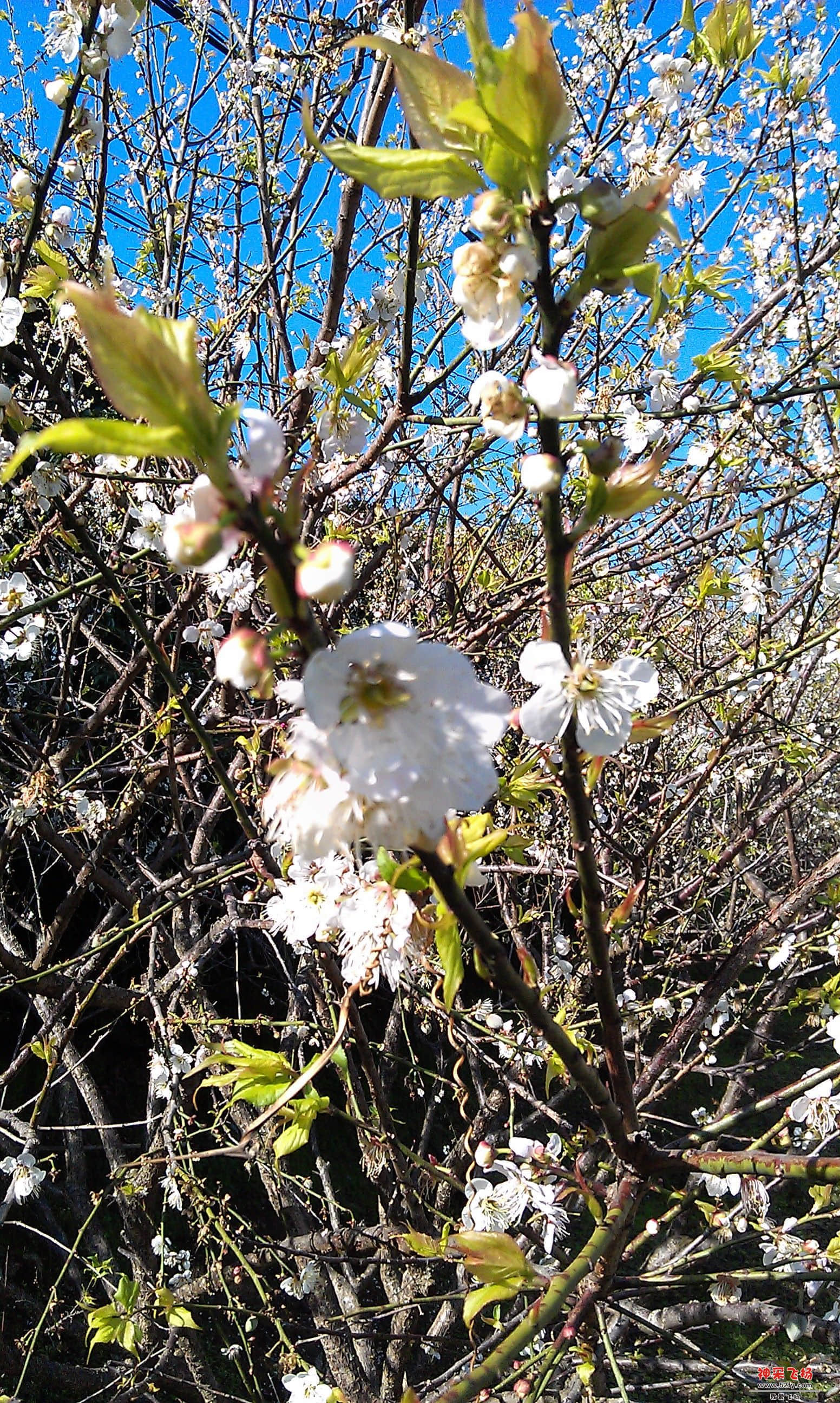 IMAG0055.jpg