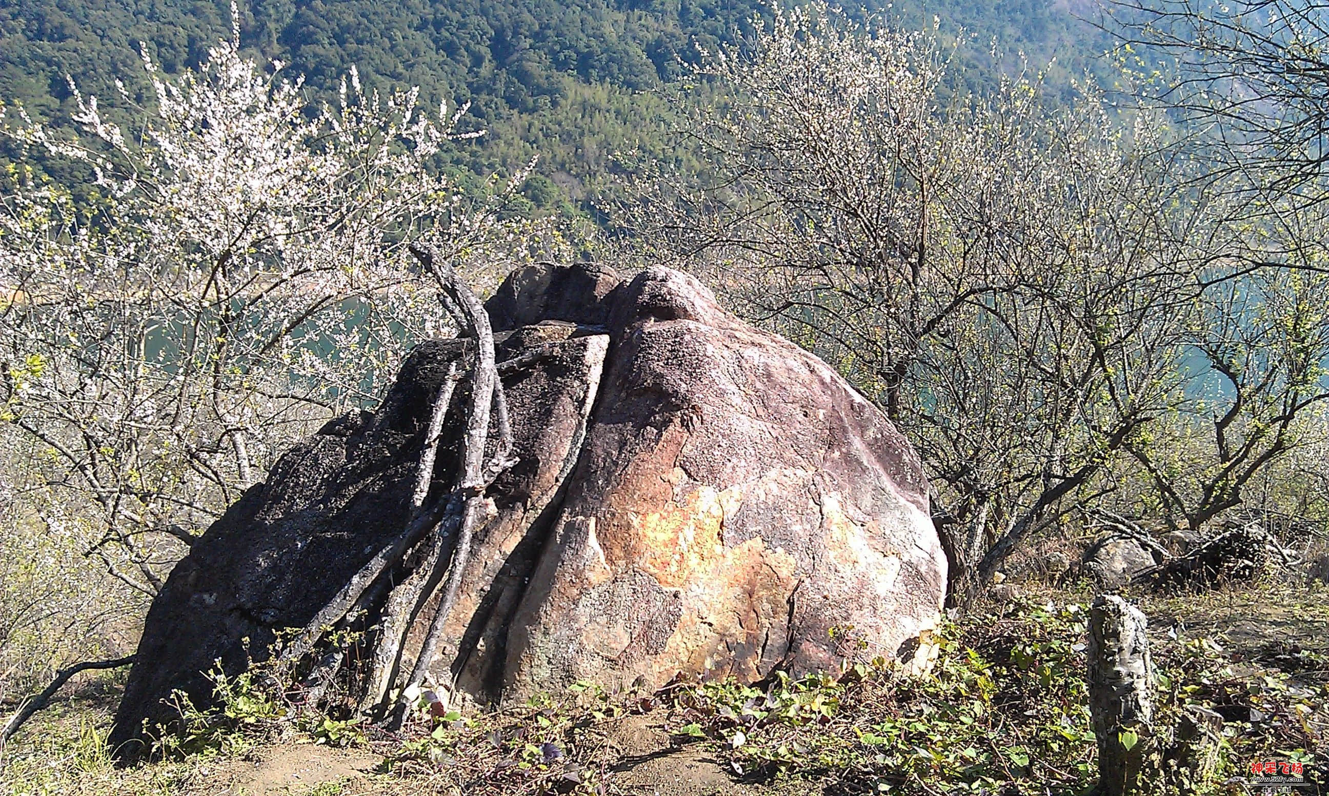 IMAG0056.jpg