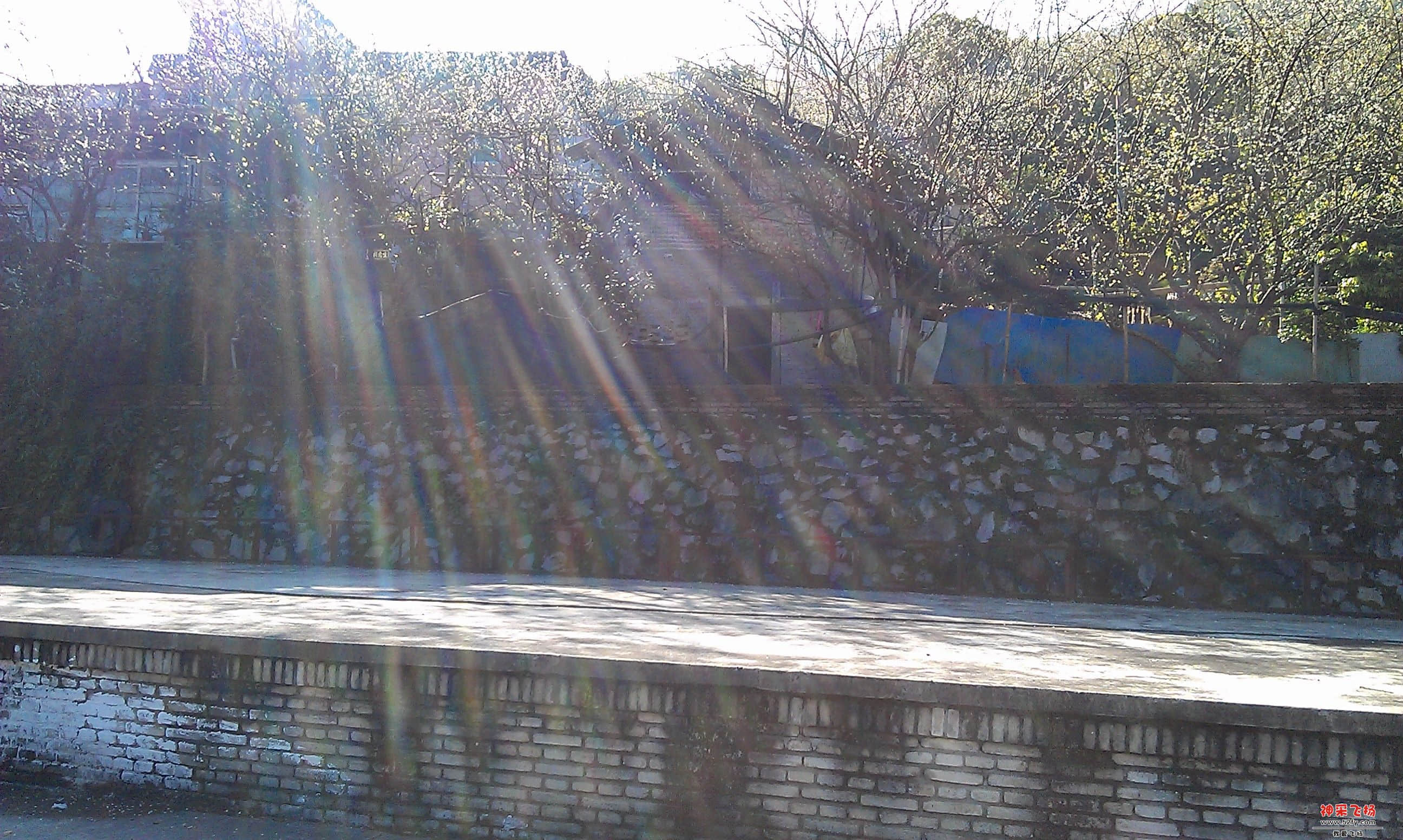 农村2.jpg