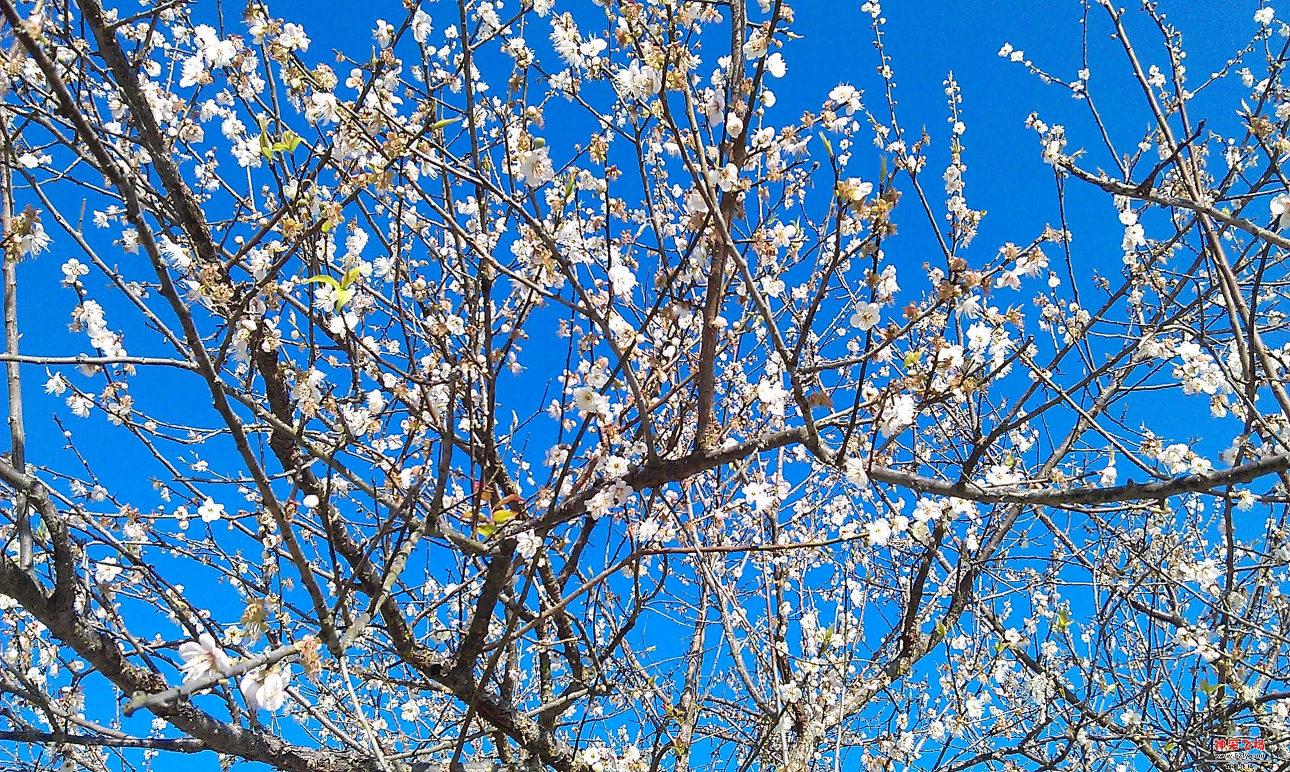 IMAG0023.jpg