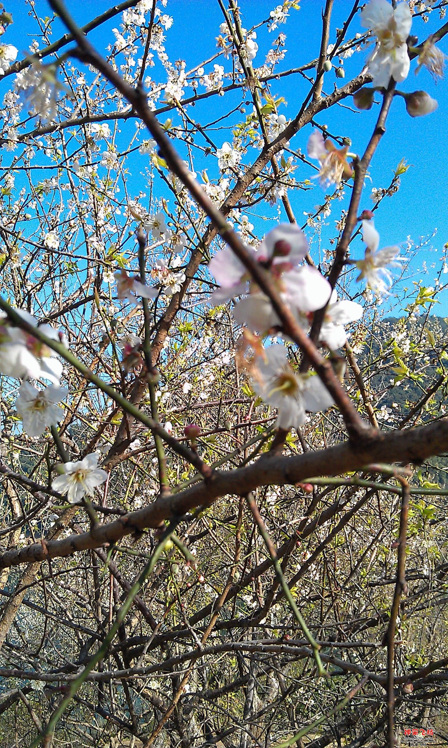IMAG0028.jpg