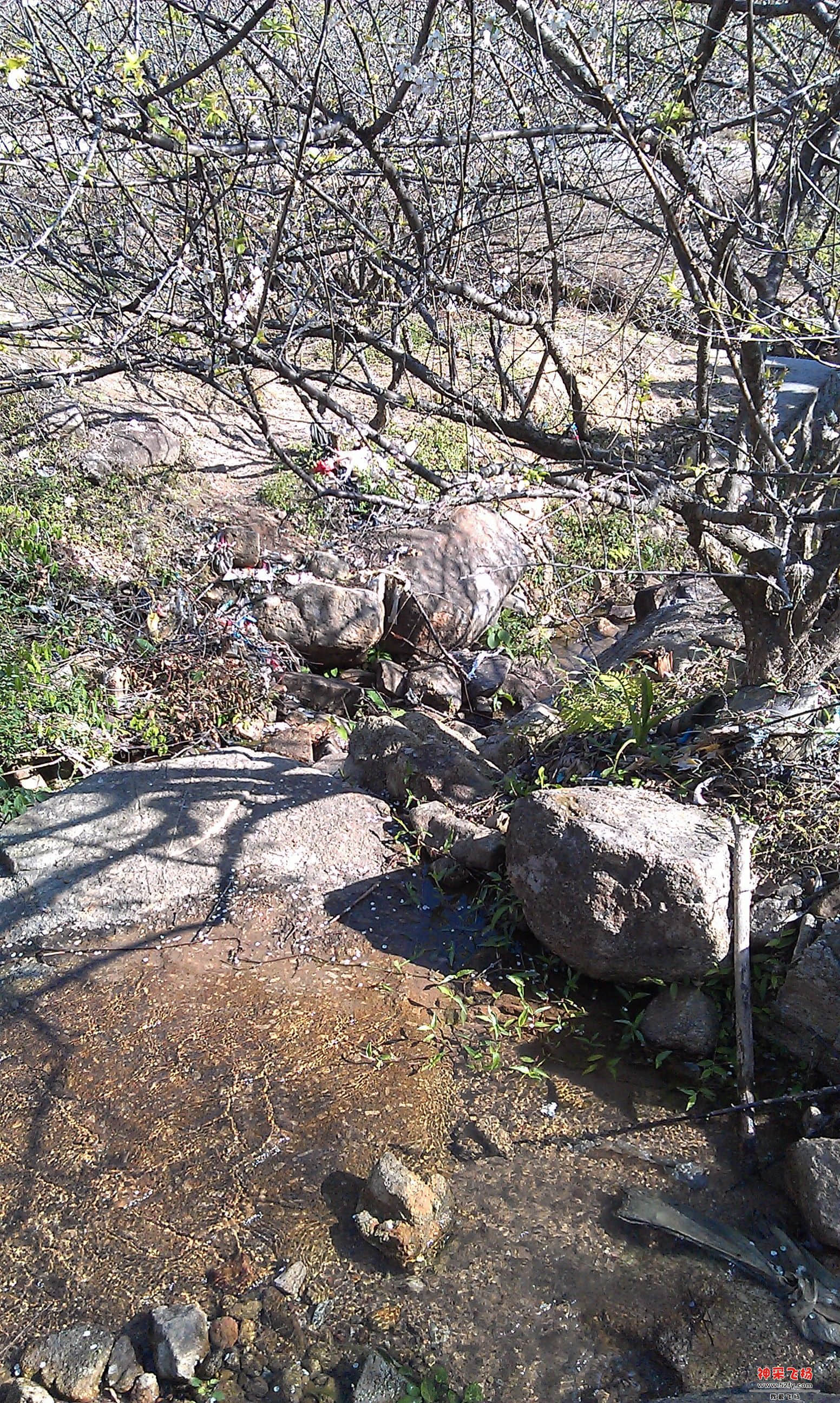 IMAG0042.jpg