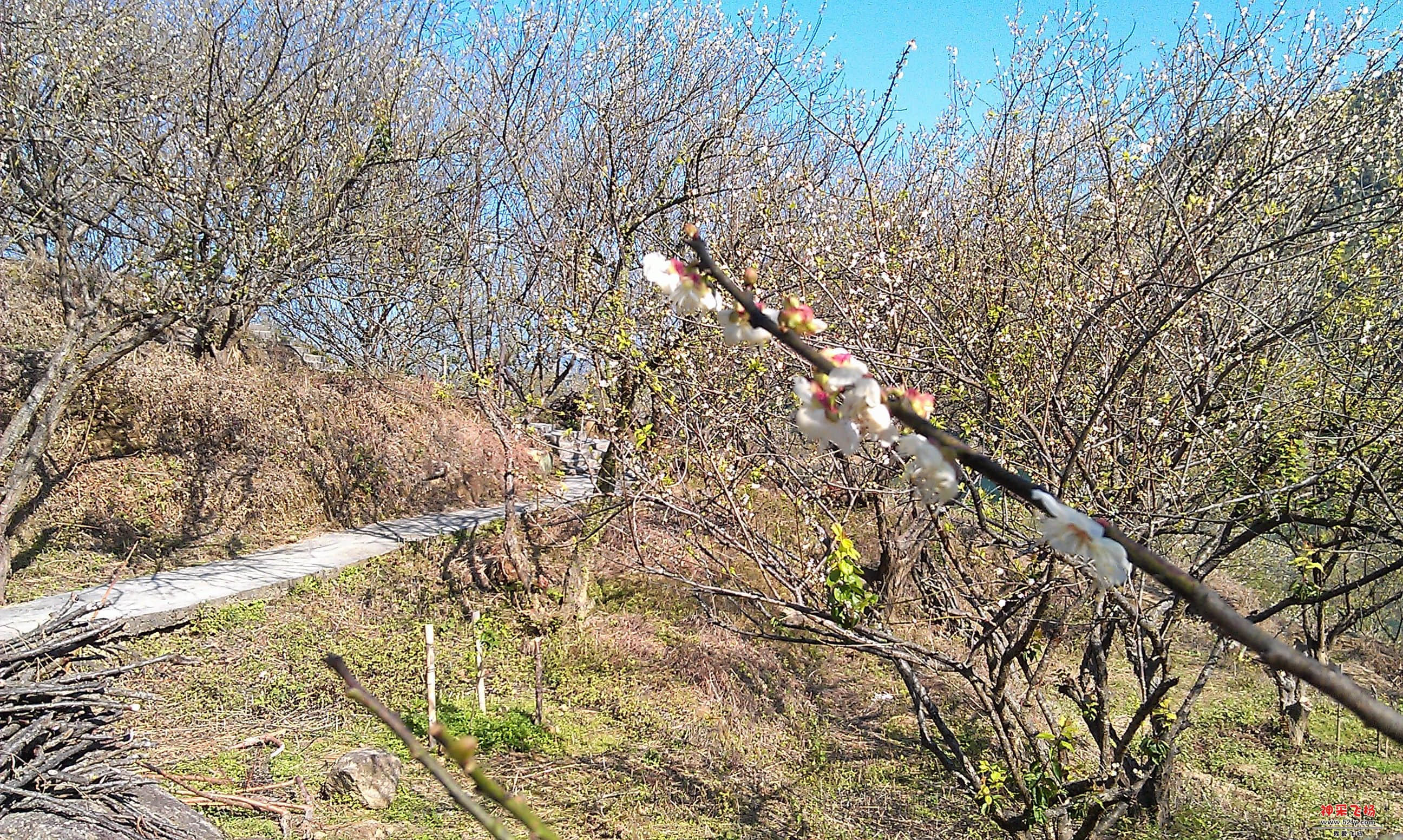 IMAG0044.jpg