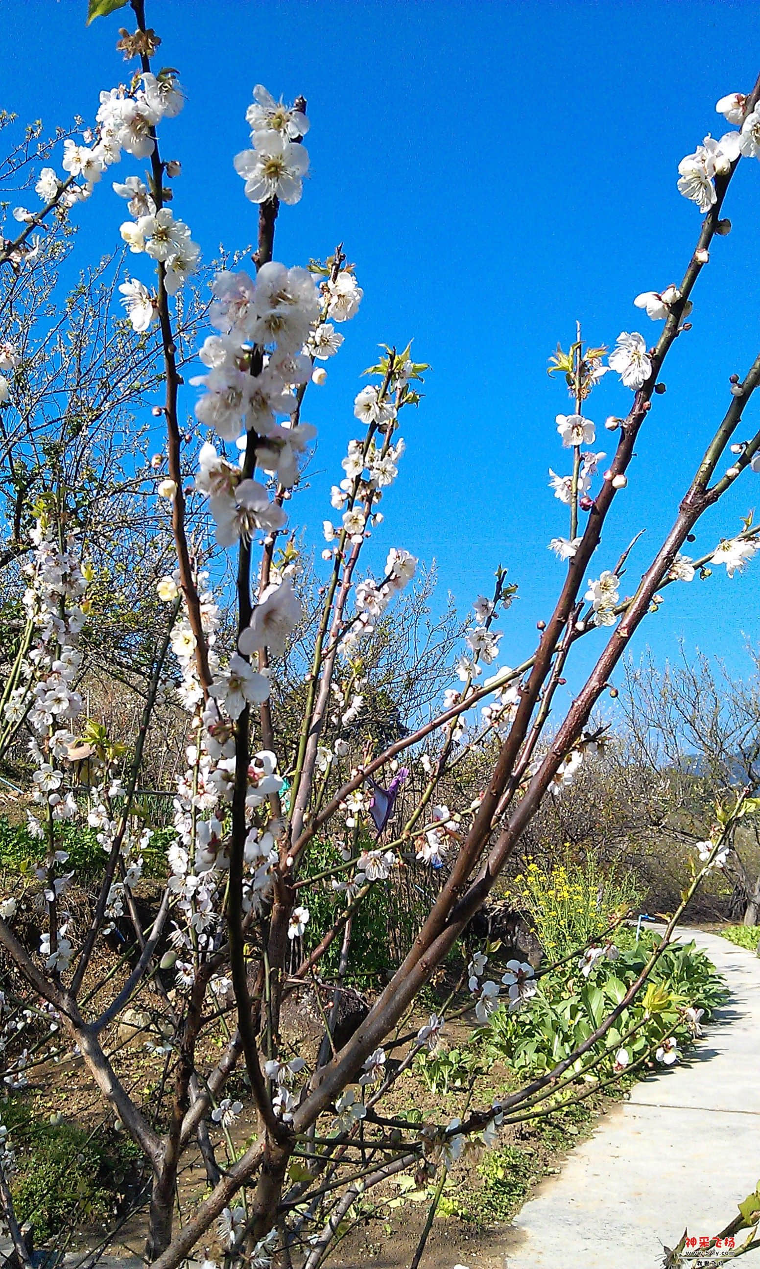 IMAG0046.jpg