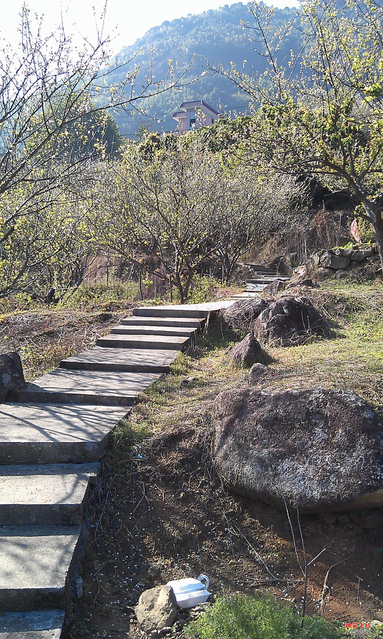 IMAG0047.jpg