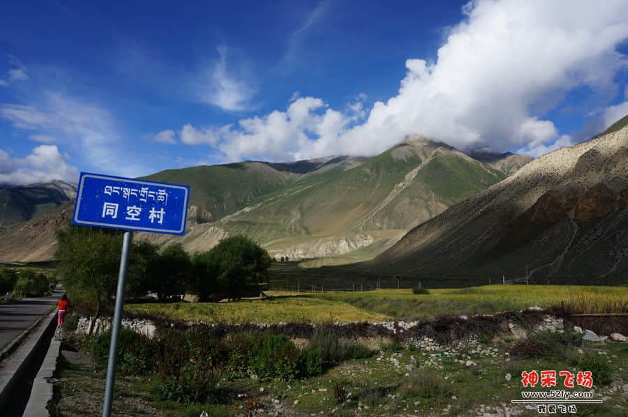 DSC02469_副本.jpg