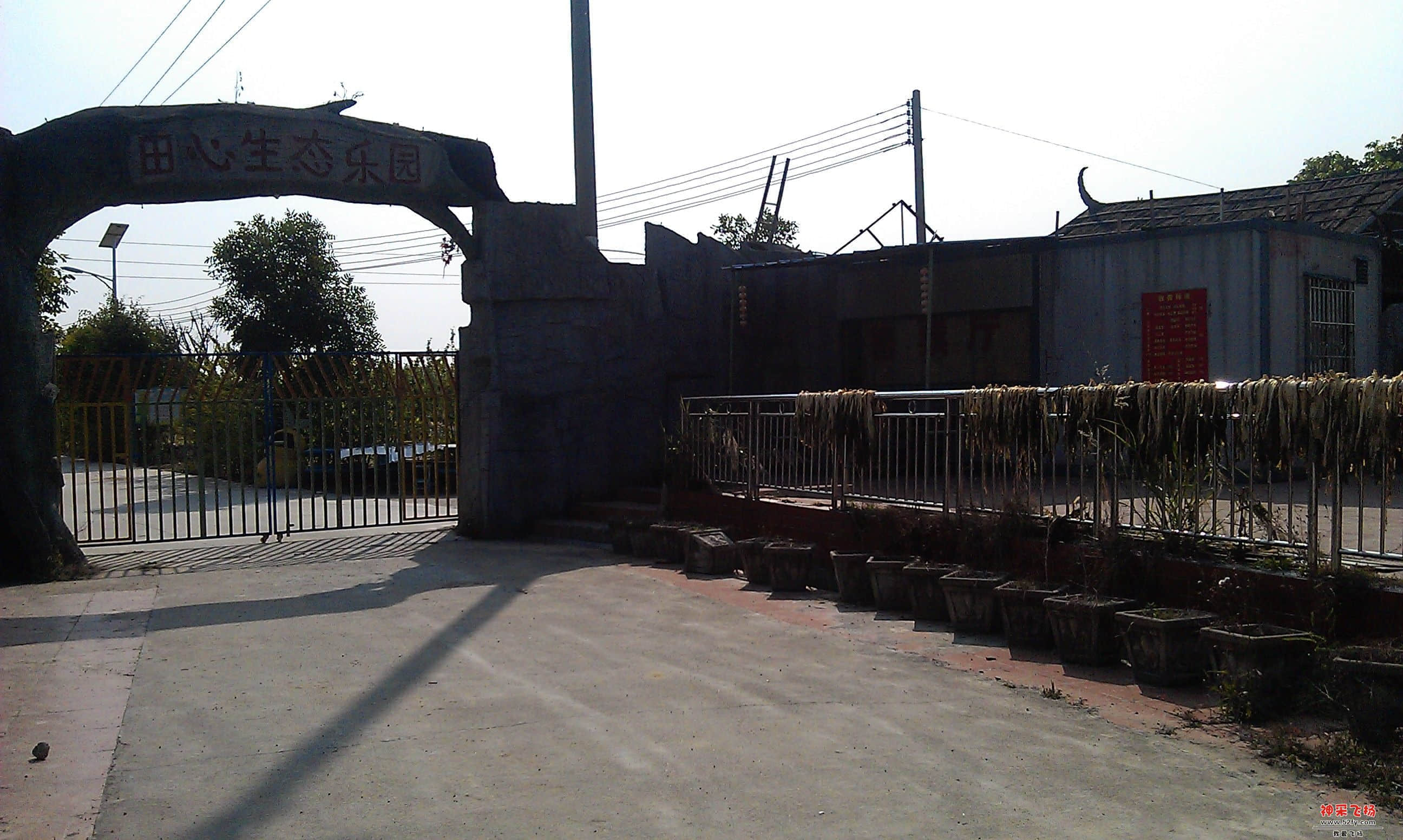IMAG0124.jpg