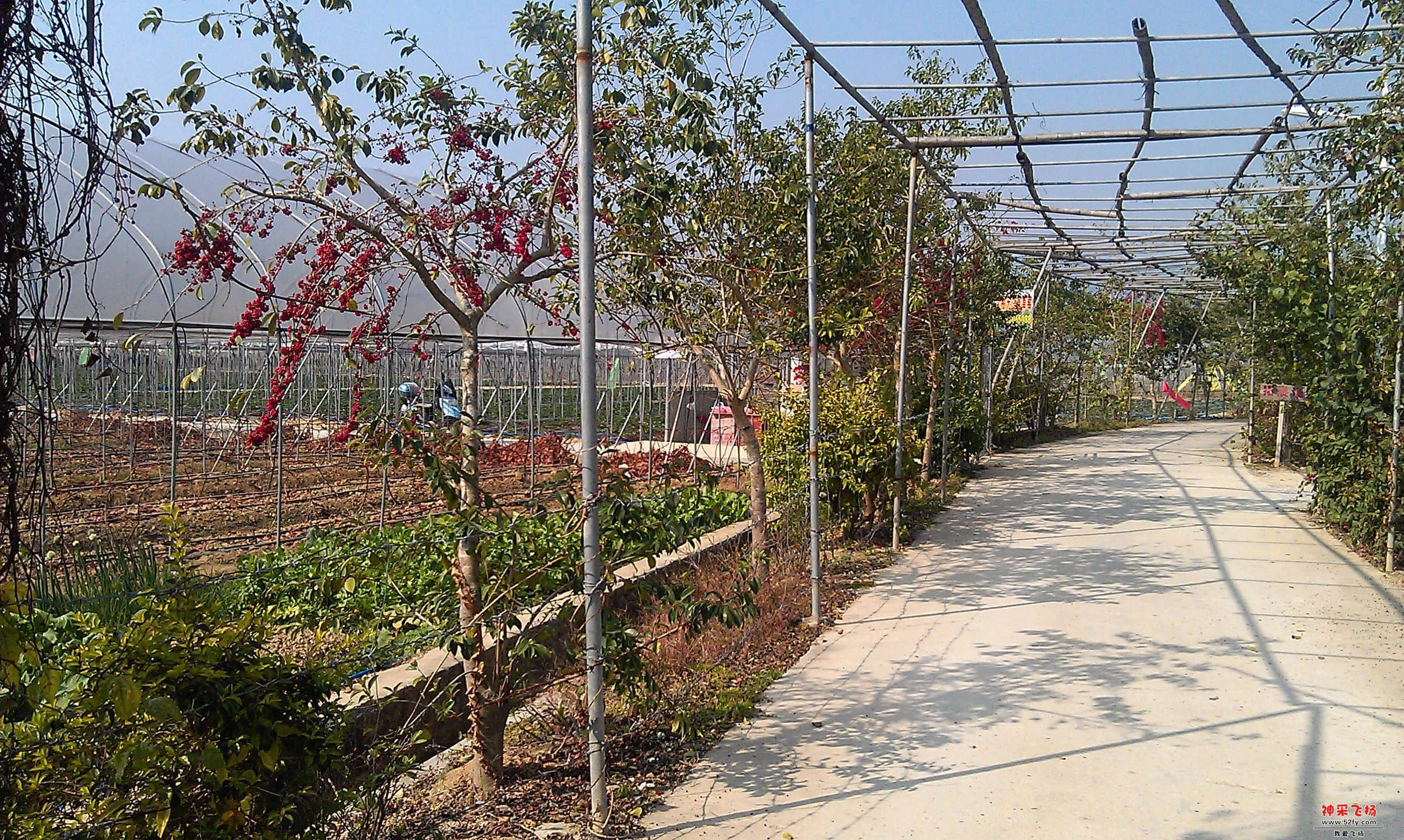IMAG0098.jpg