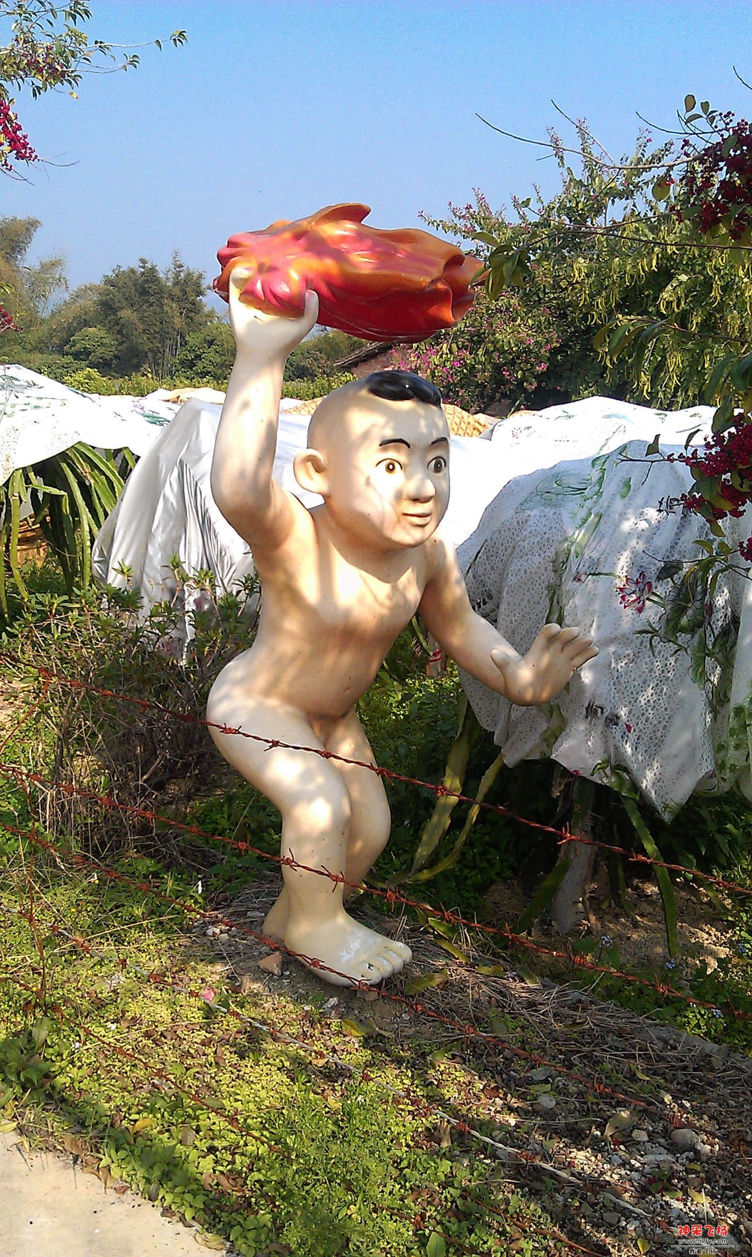 IMAG0101.jpg