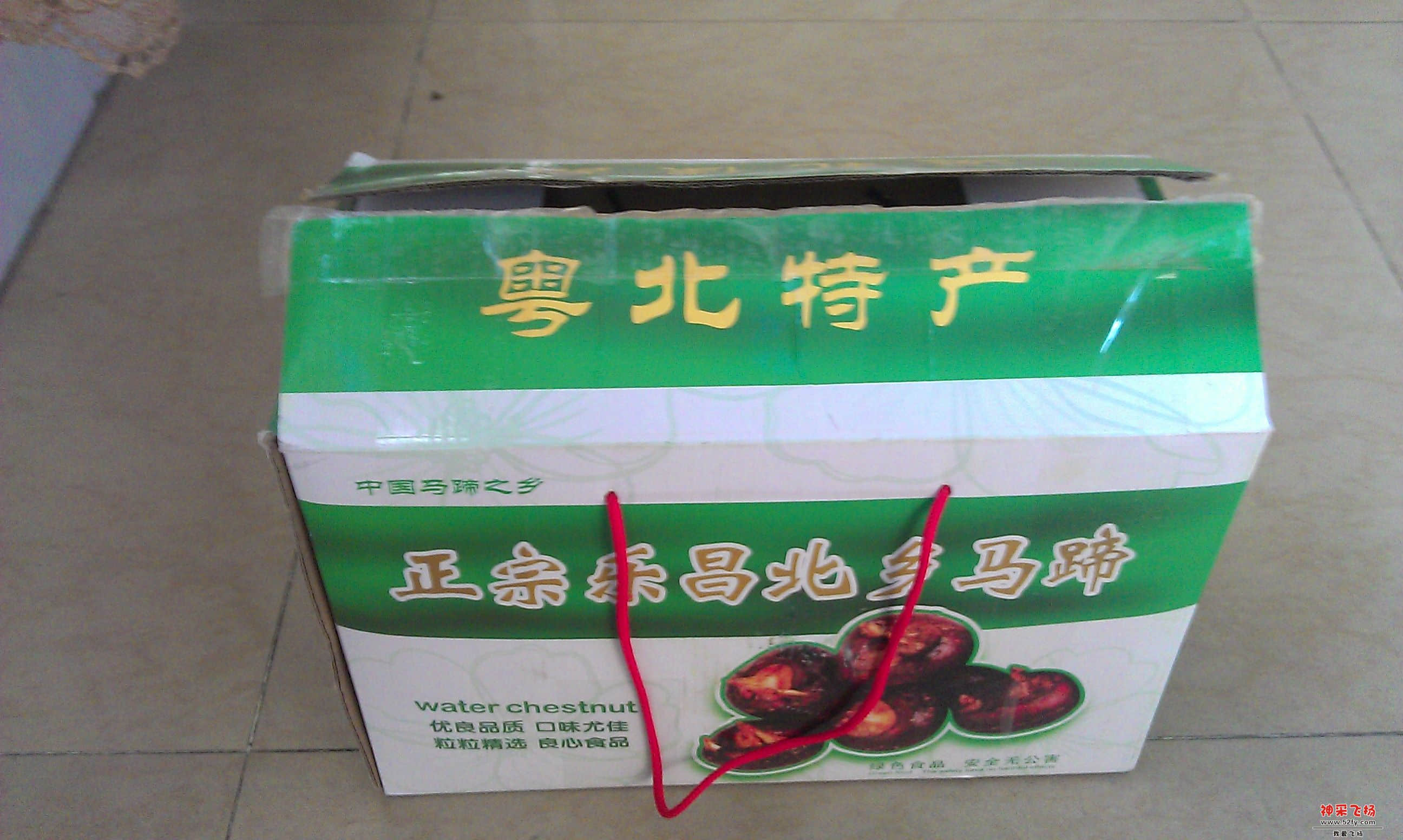 IMAG0168.jpg