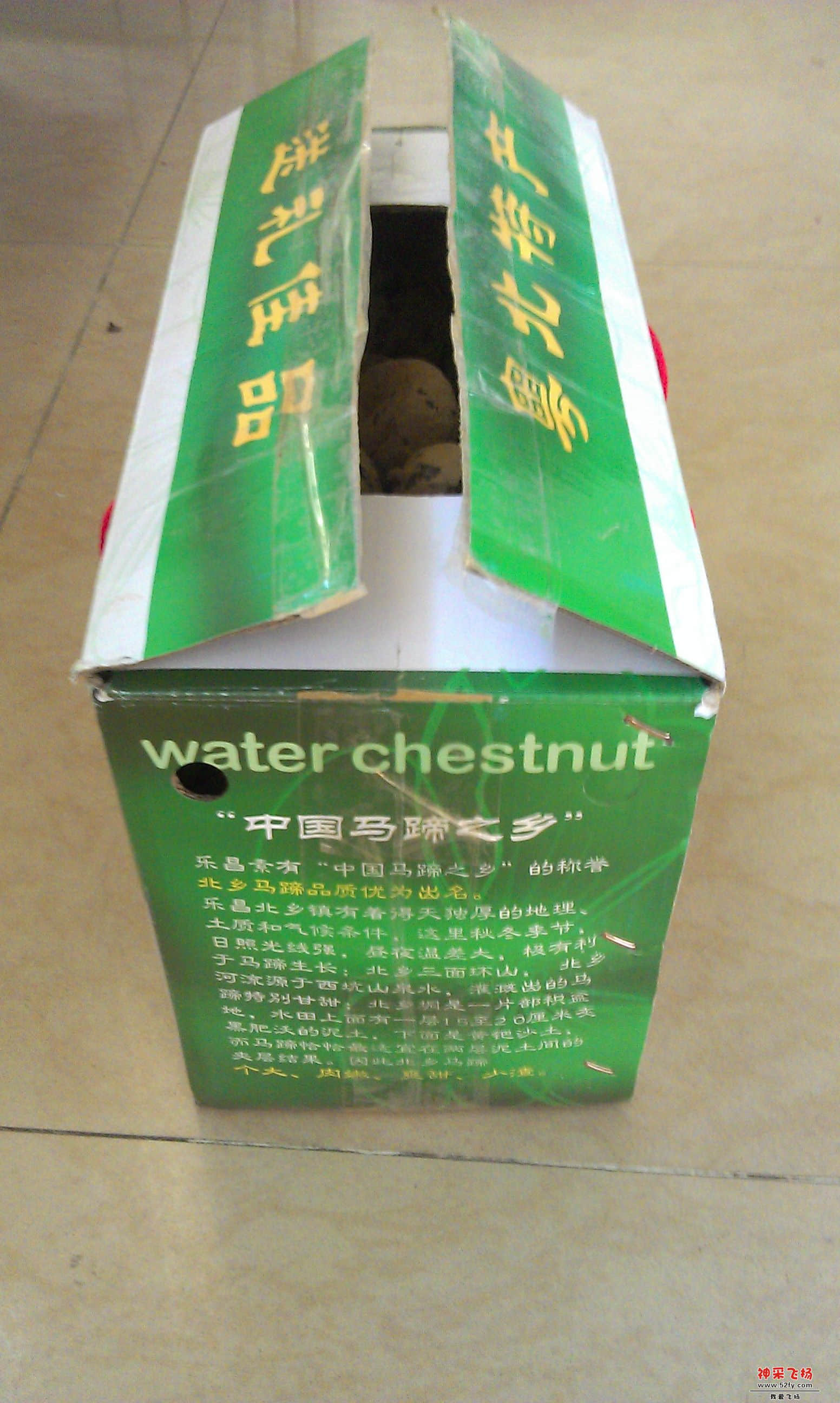 IMAG0169.jpg