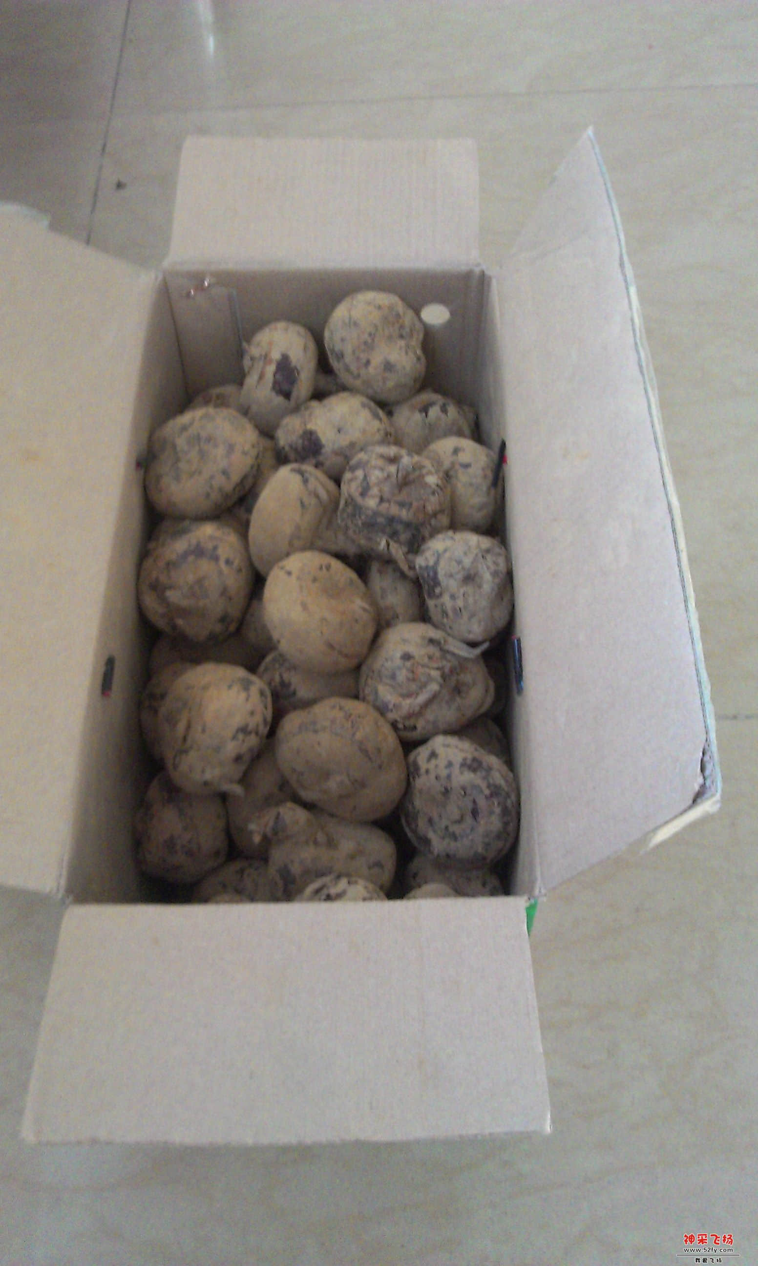 IMAG0171.jpg