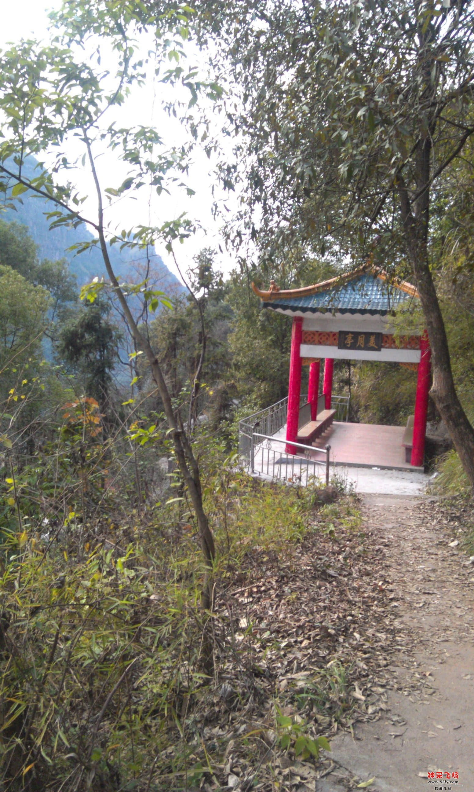 IMAG0261.jpg