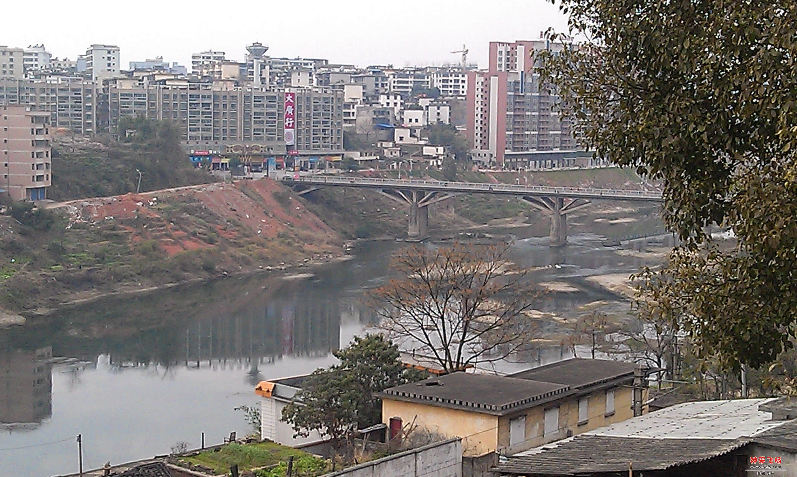 IMAG0254.jpg