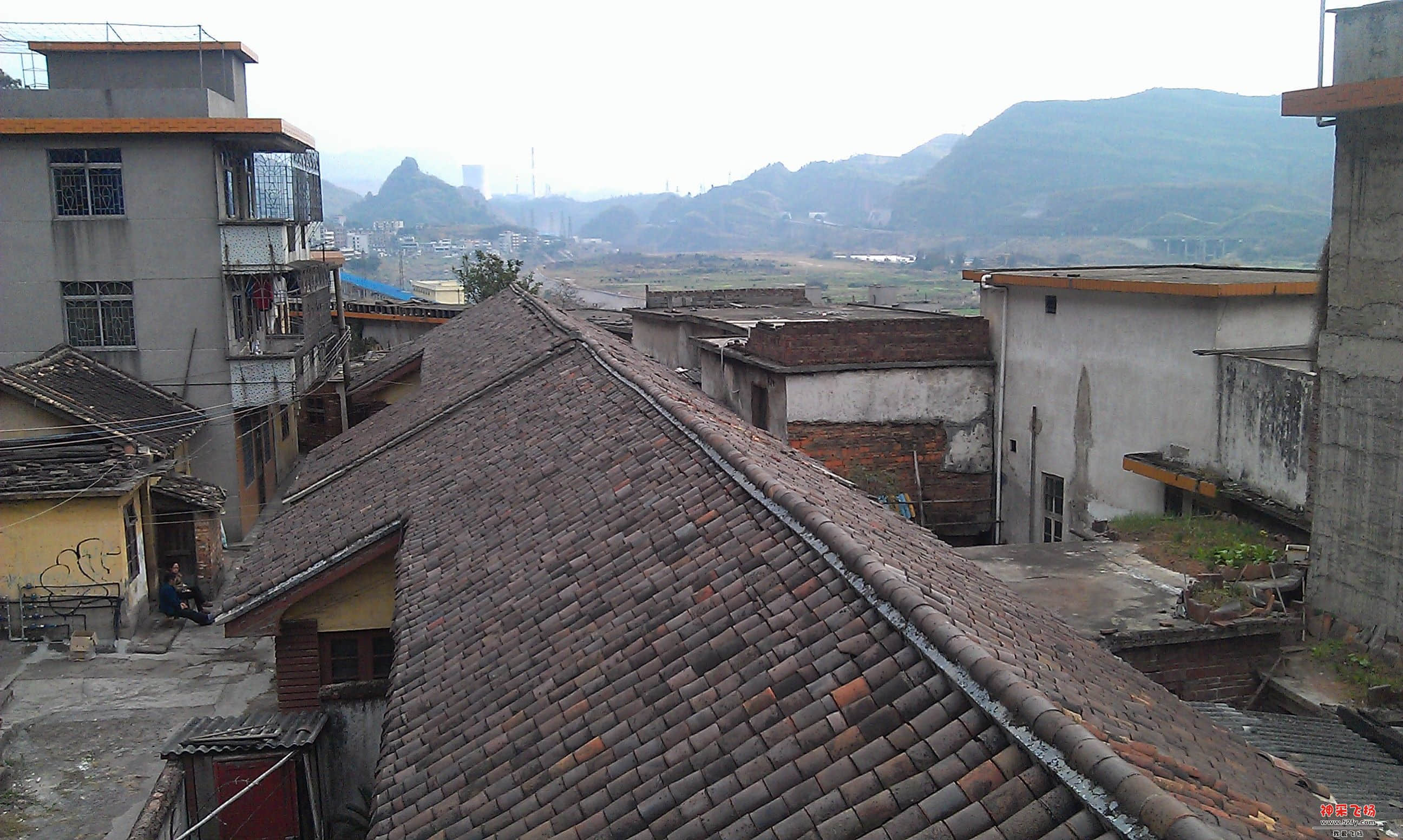 IMAG0255.jpg
