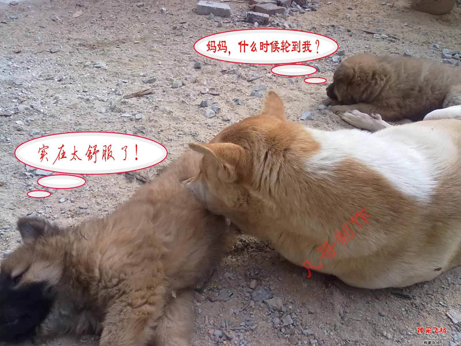 实在太舒服了.jpg