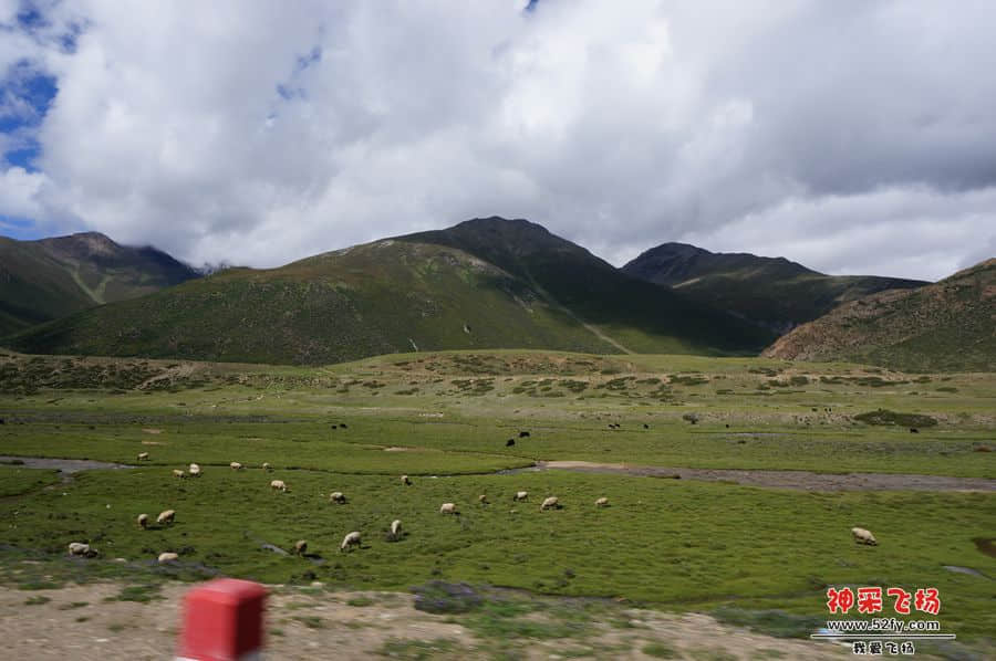 DSC02500_副本.jpg