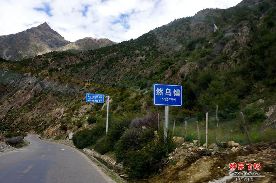 DSC02558_副本.jpg