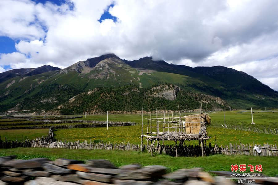 DSC02518_副本.jpg
