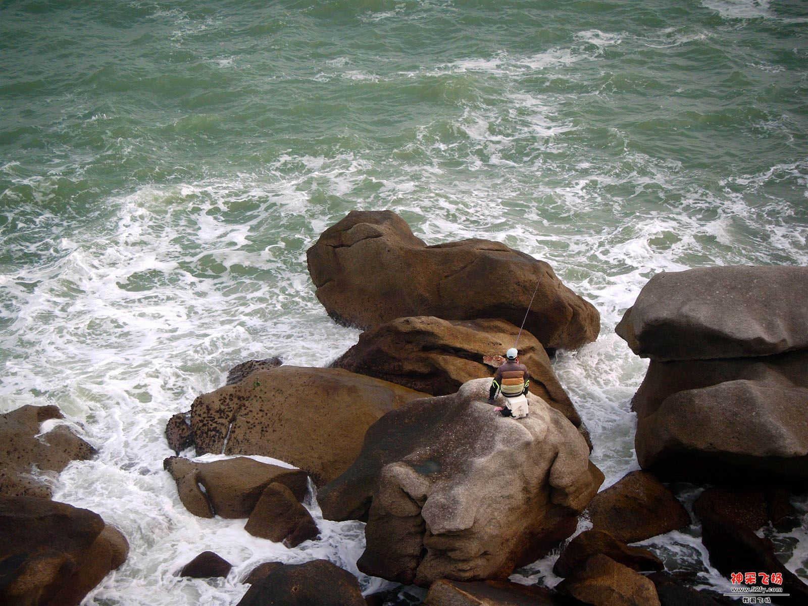DSCF0514.jpg