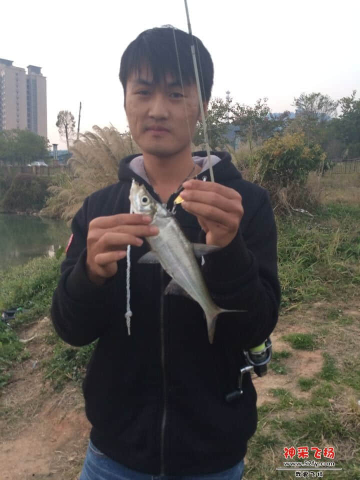 QQ图片20150128200857.jpg