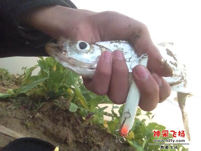 QQ图片20150128200914.jpg