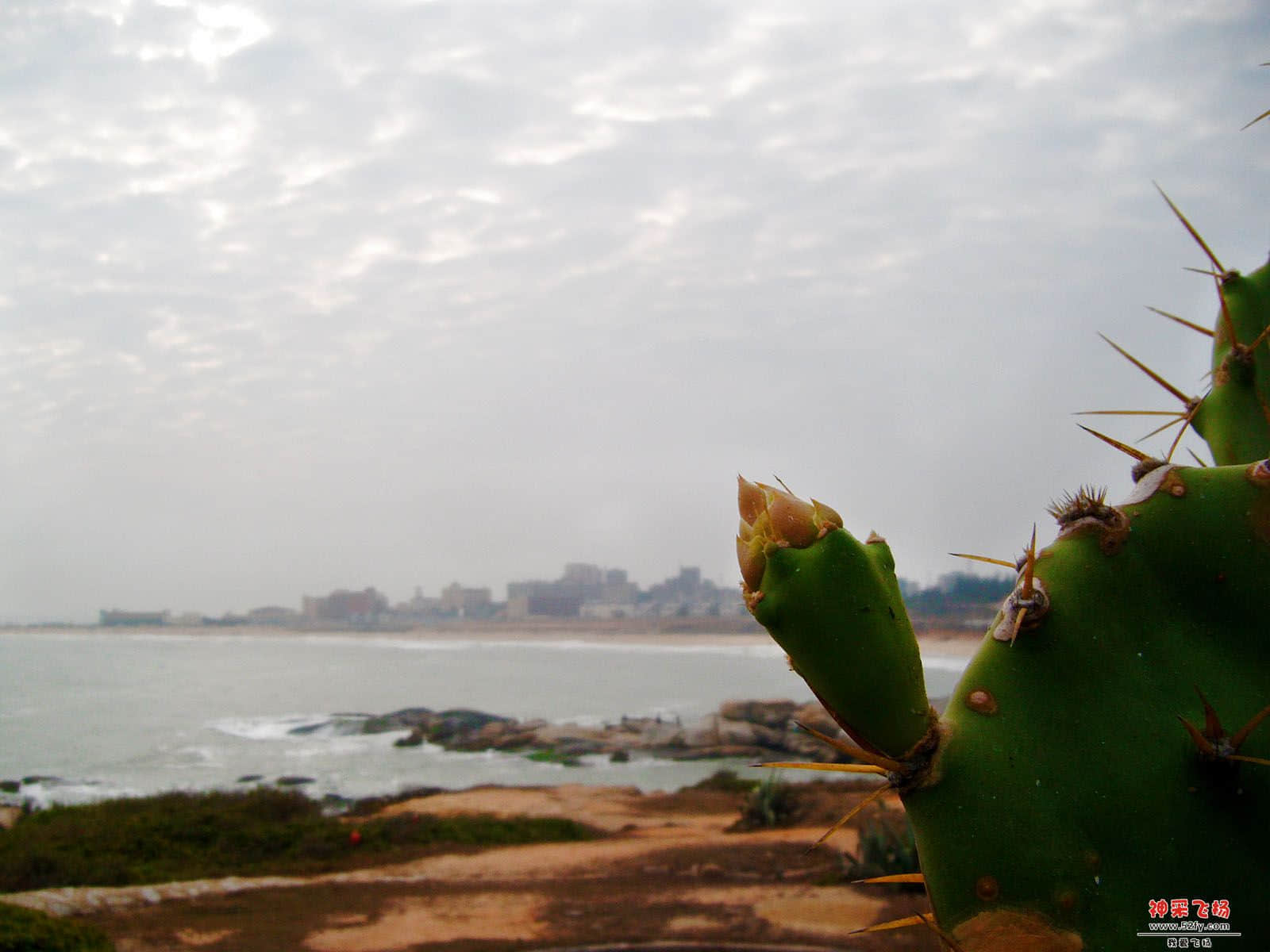 DSCF0515.jpg